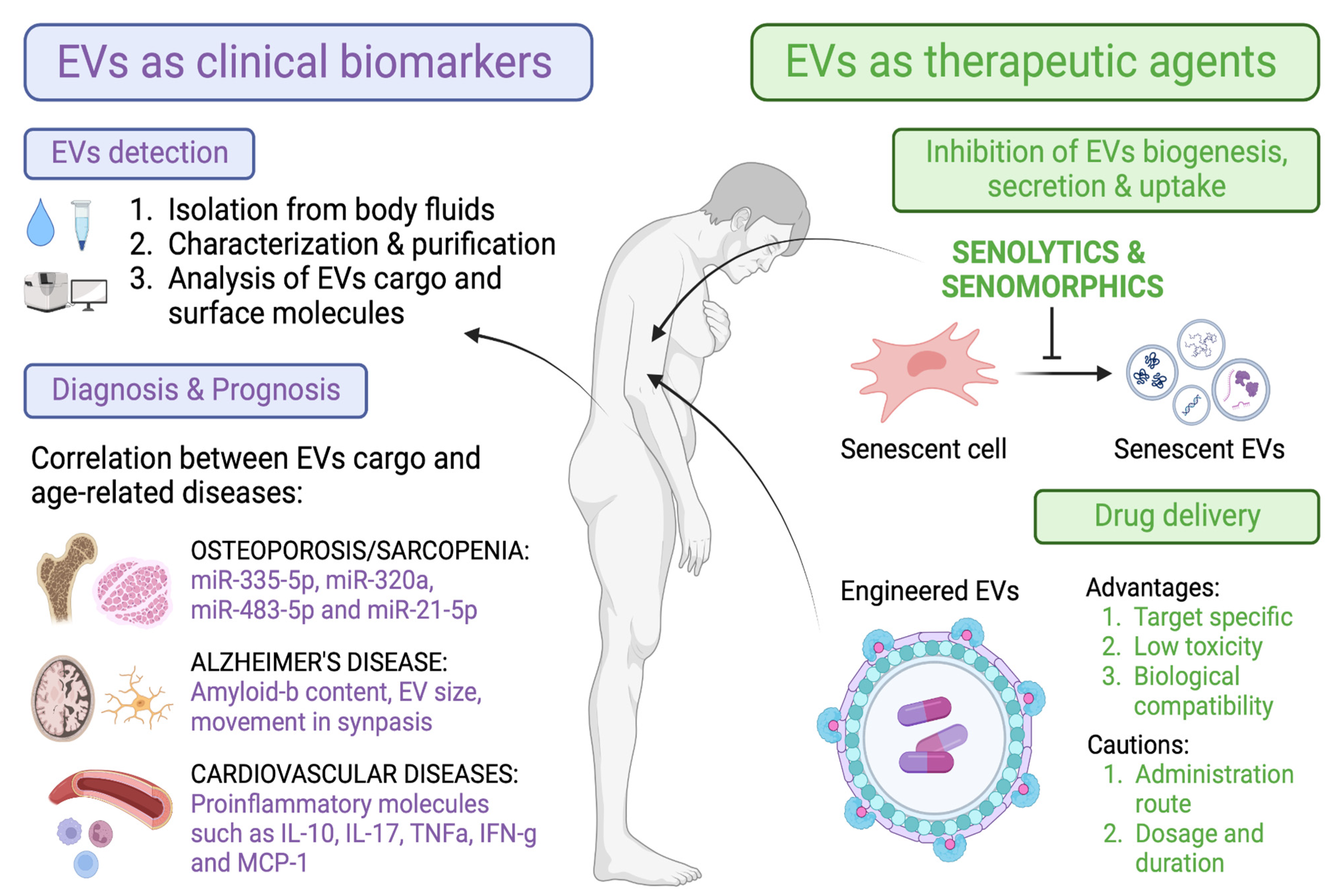 Ijms 24 04250 g004 Ijms 24 04250 g004