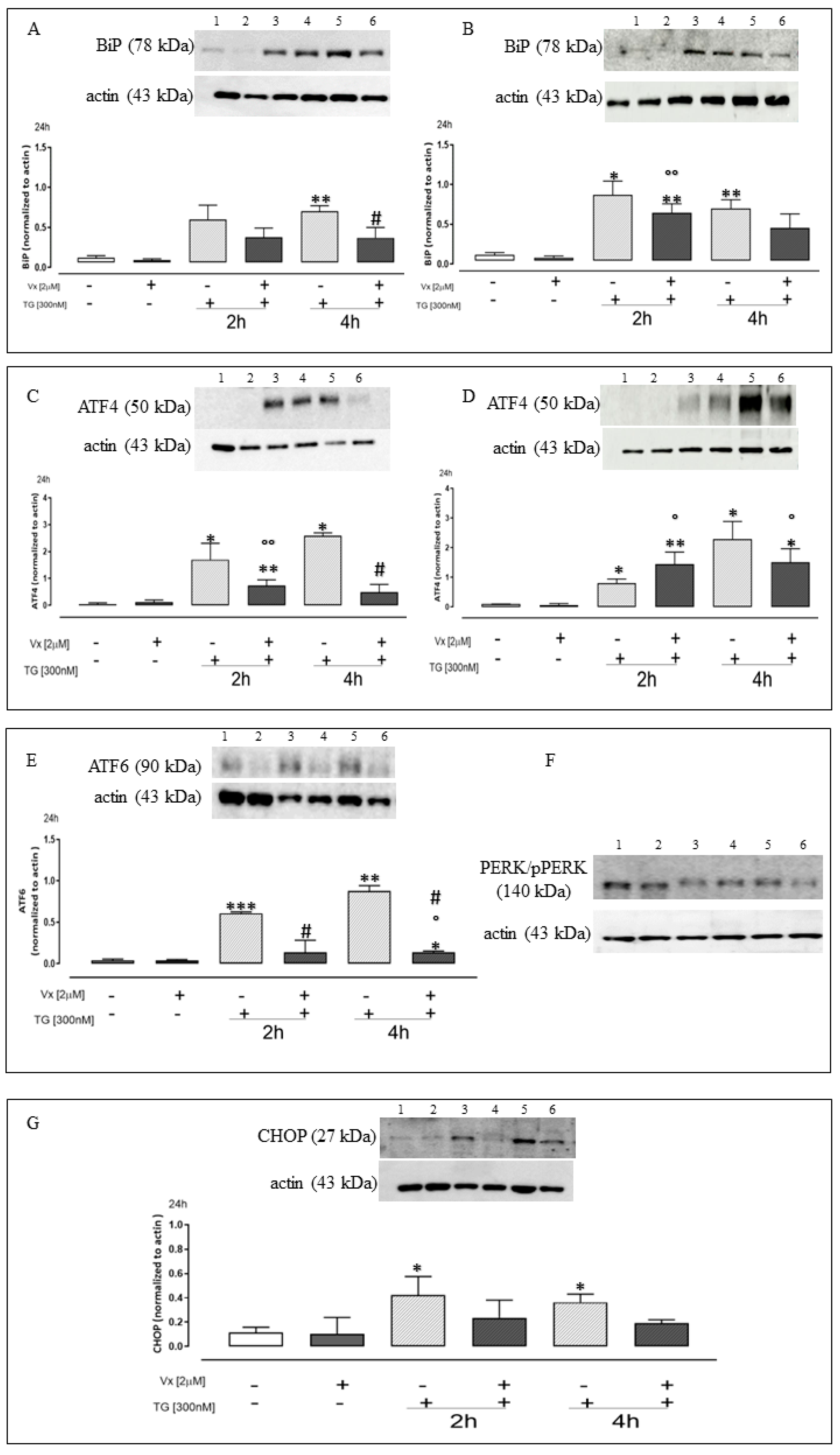 Ijms 24 04252 g003 Ijms 24 04252 g003