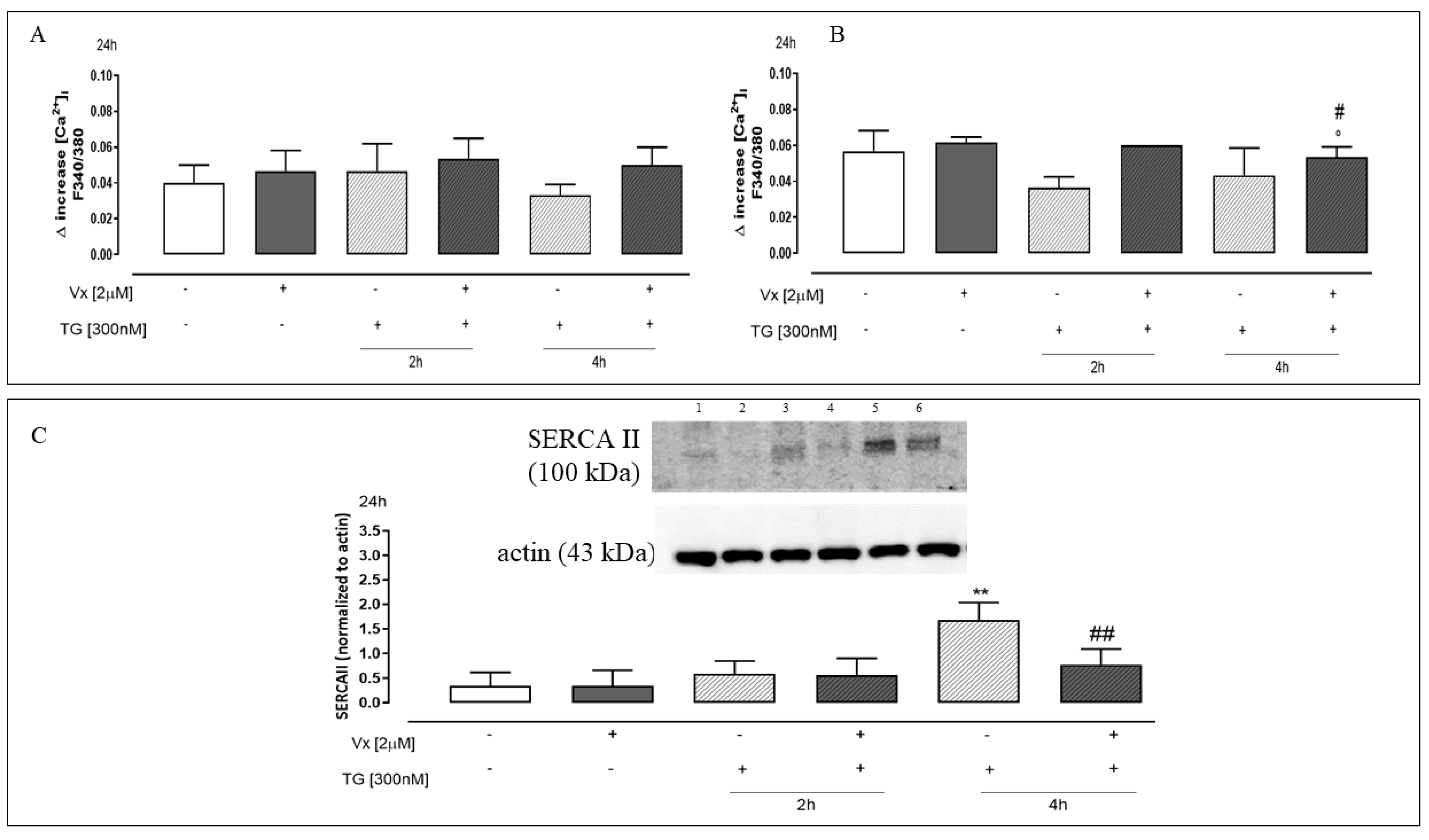 Ijms 24 04252 g006 Ijms 24 04252 g006
