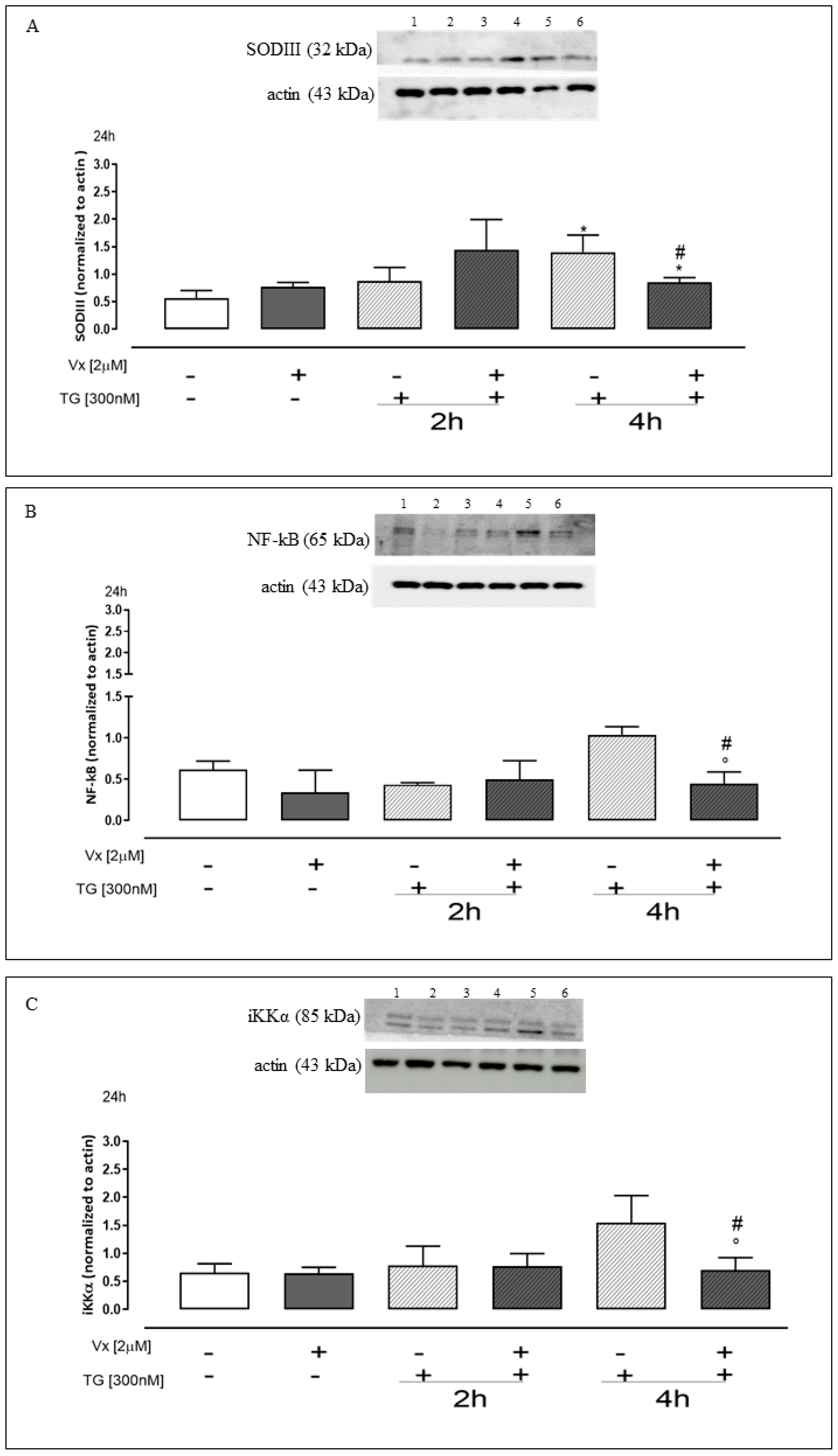 Ijms 24 04252 g007 Ijms 24 04252 g007