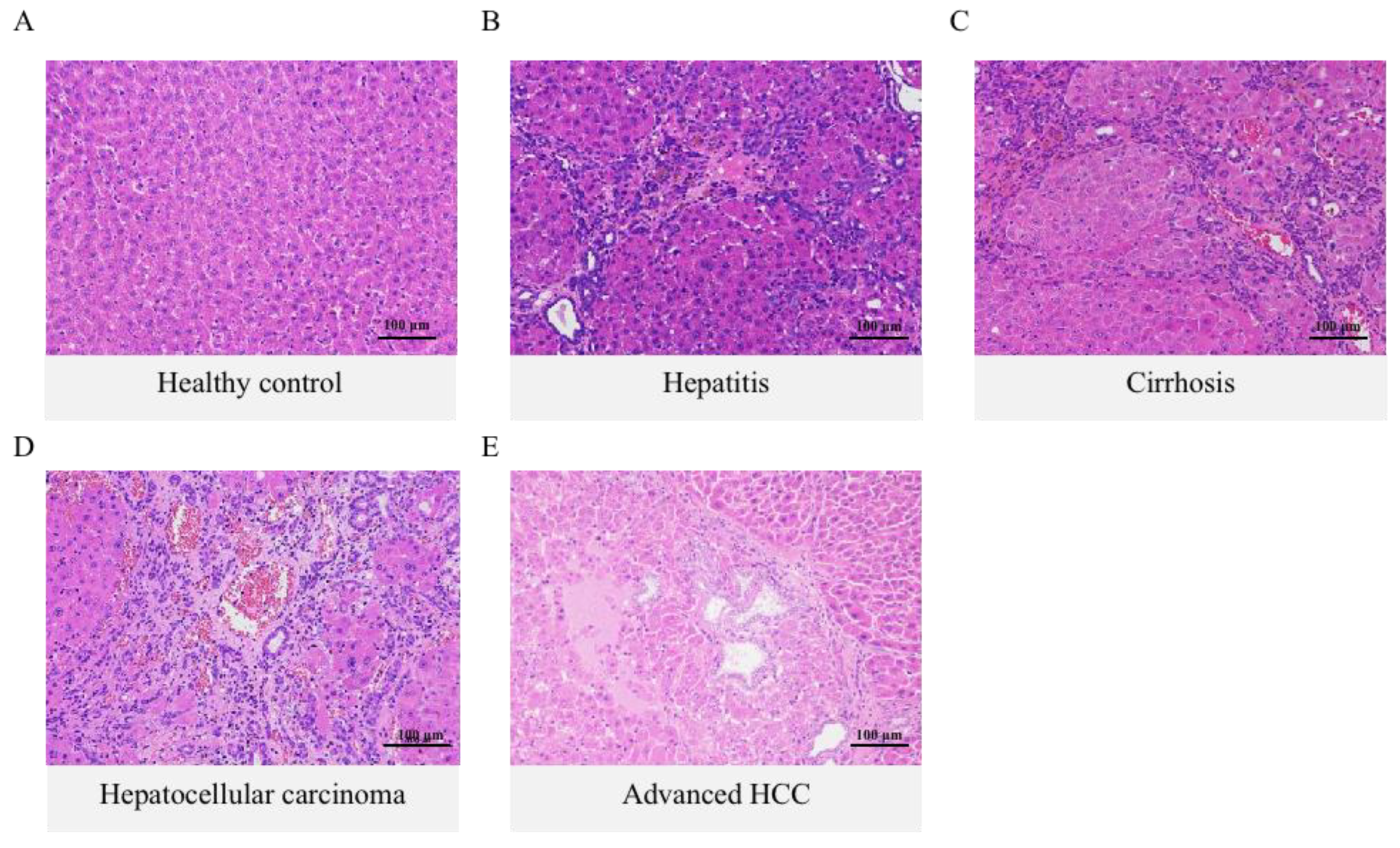 Ijms 24 04258 g001 Ijms 24 04258 g001