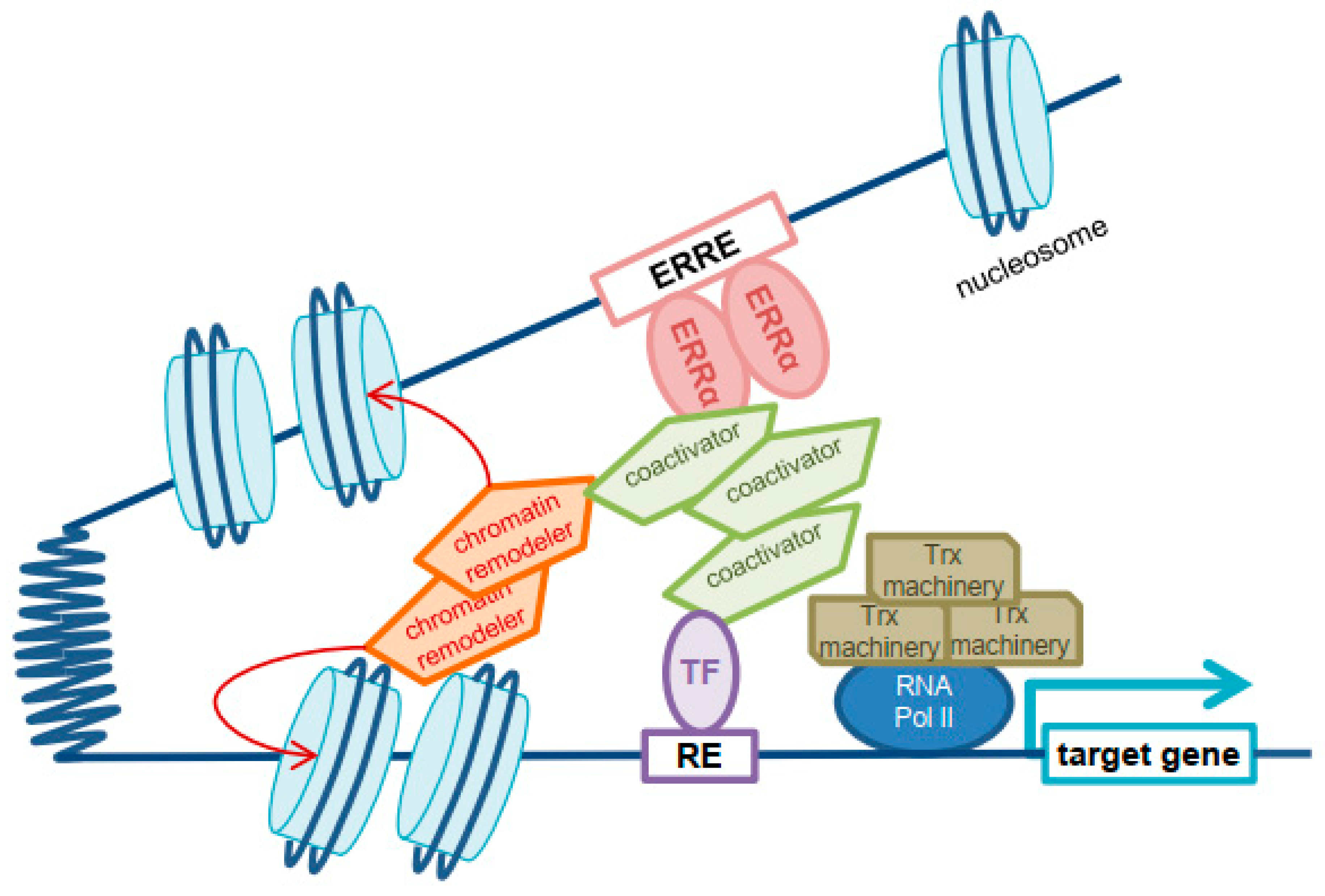 Ijms 24 04265 g001 Ijms 24 04265 g001