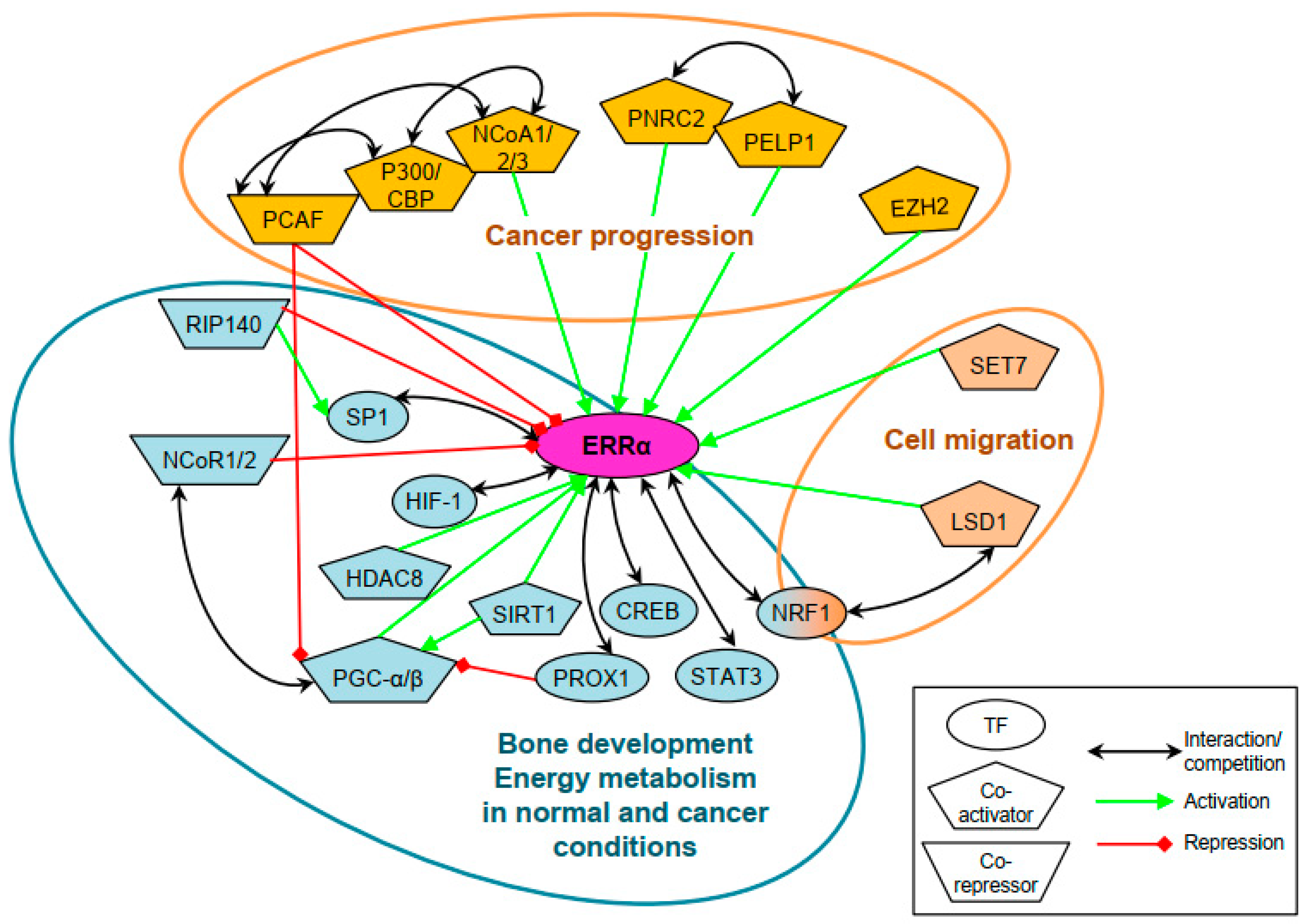 Ijms 24 04265 g003 Ijms 24 04265 g003