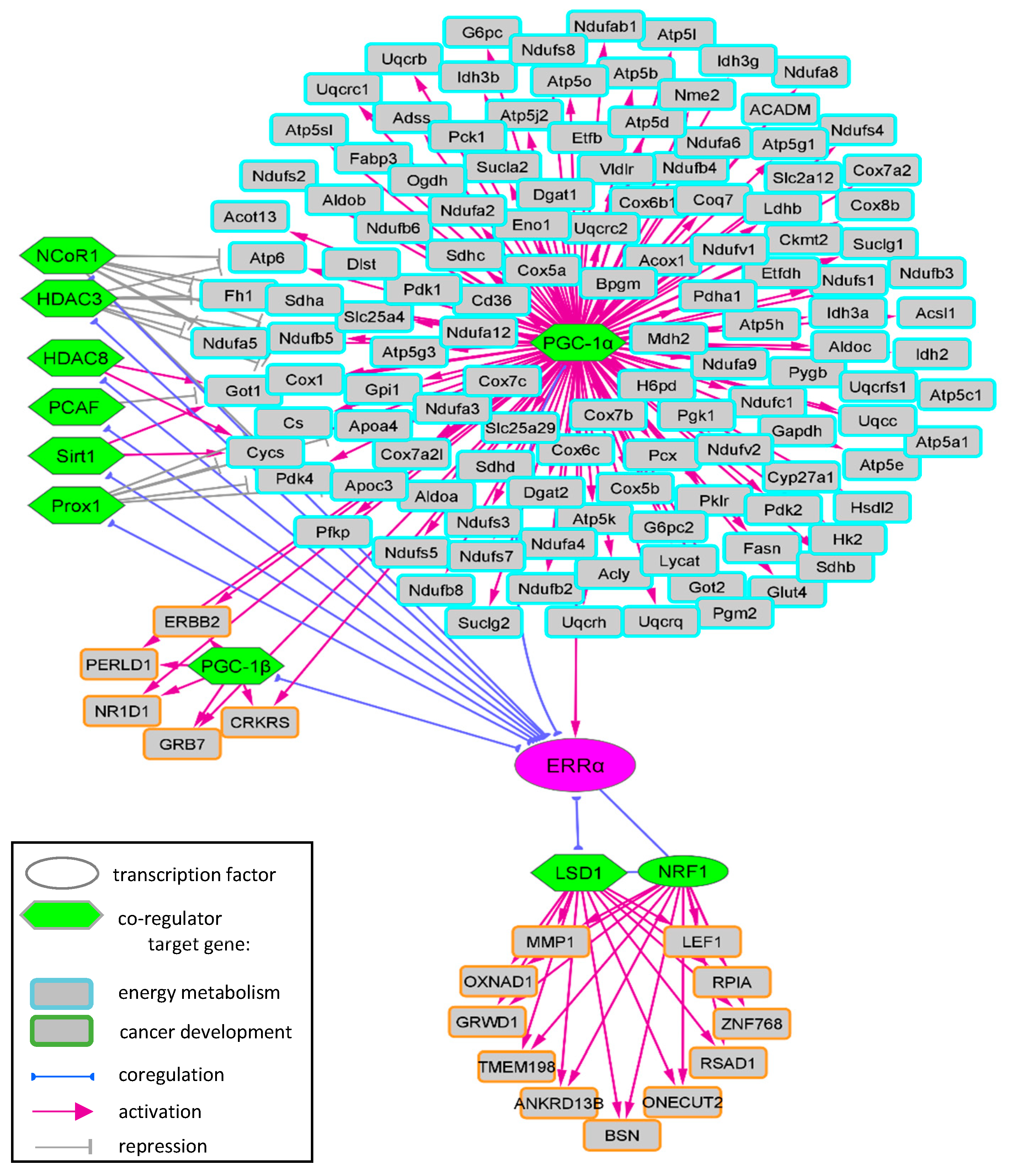 Ijms 24 04265 g004 Ijms 24 04265 g004