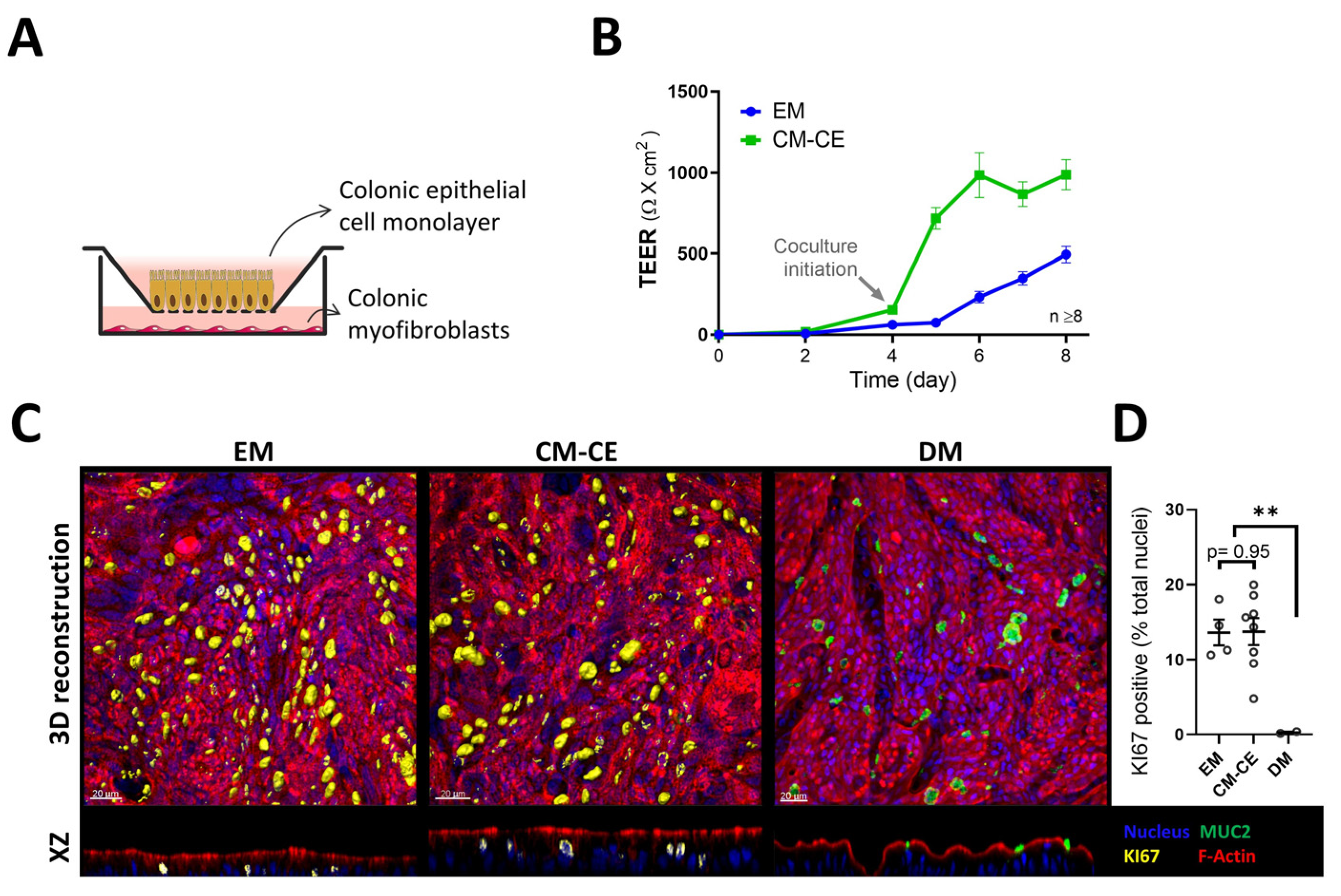 Ijms 24 04266 g004 Ijms 24 04266 g004