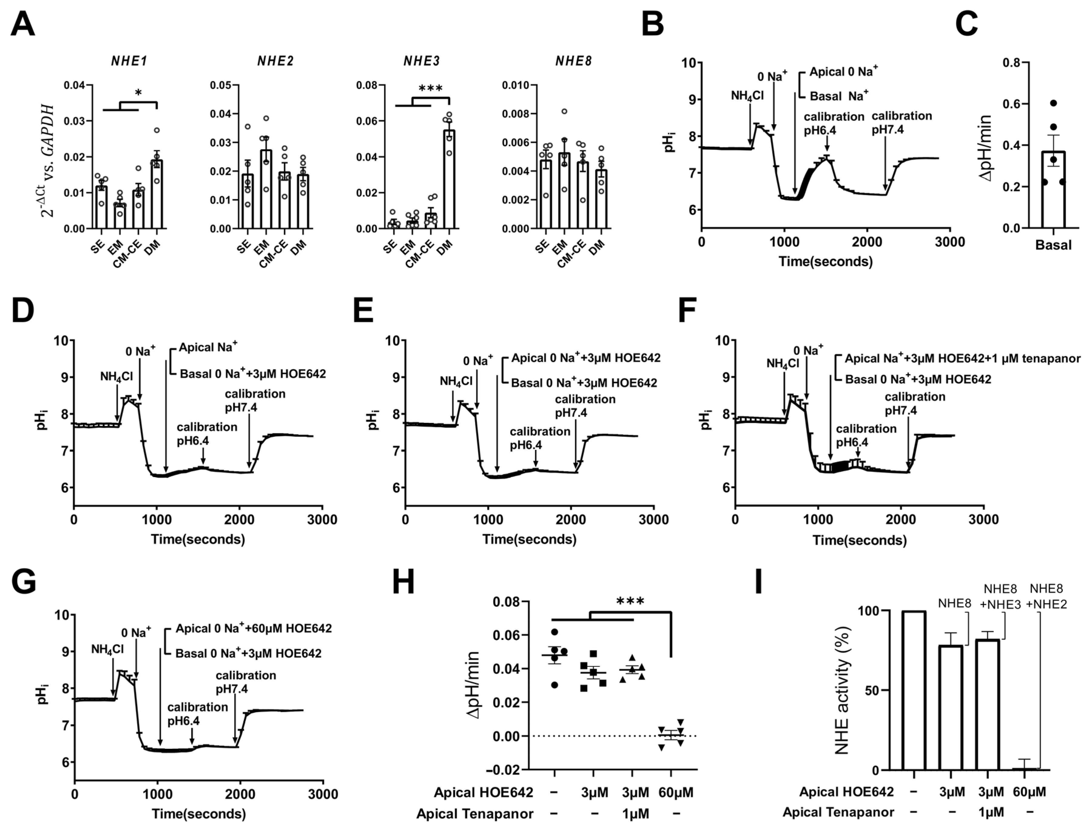 Ijms 24 04266 g007 Ijms 24 04266 g007