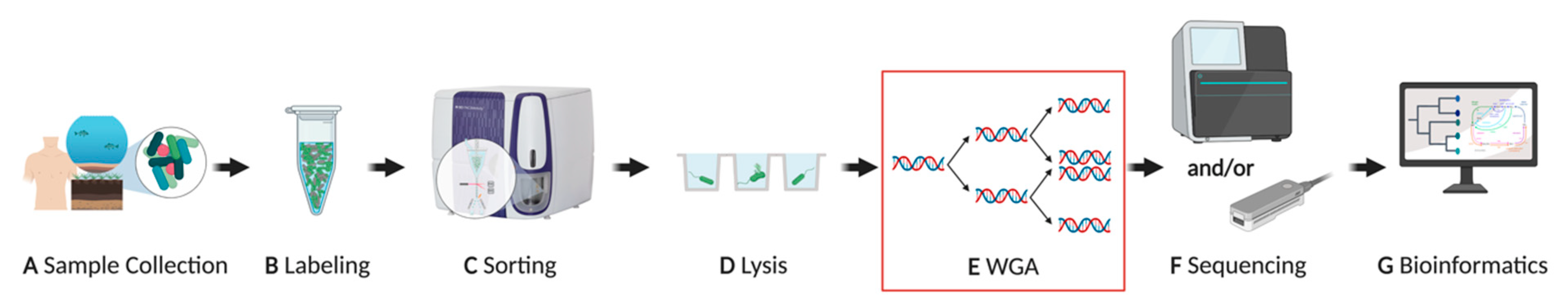 Ijms 24 04270 g001 Ijms 24 04270 g001