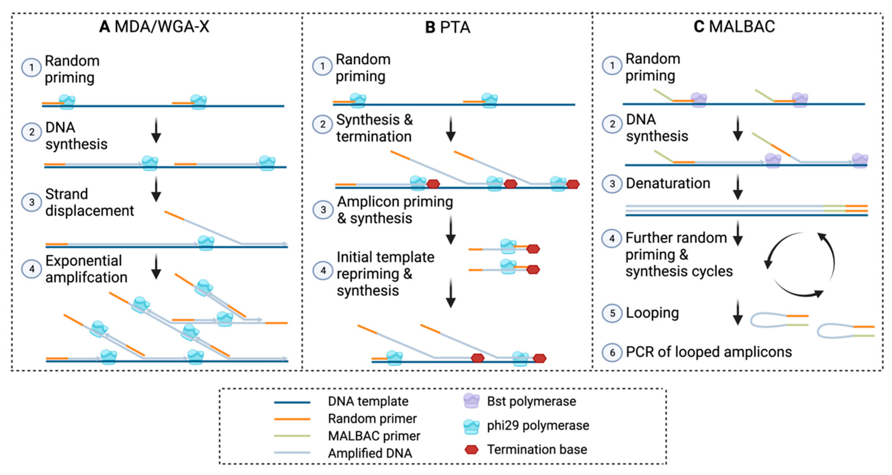IJMS Free FullText Back to Basics A Simplified Improvement to