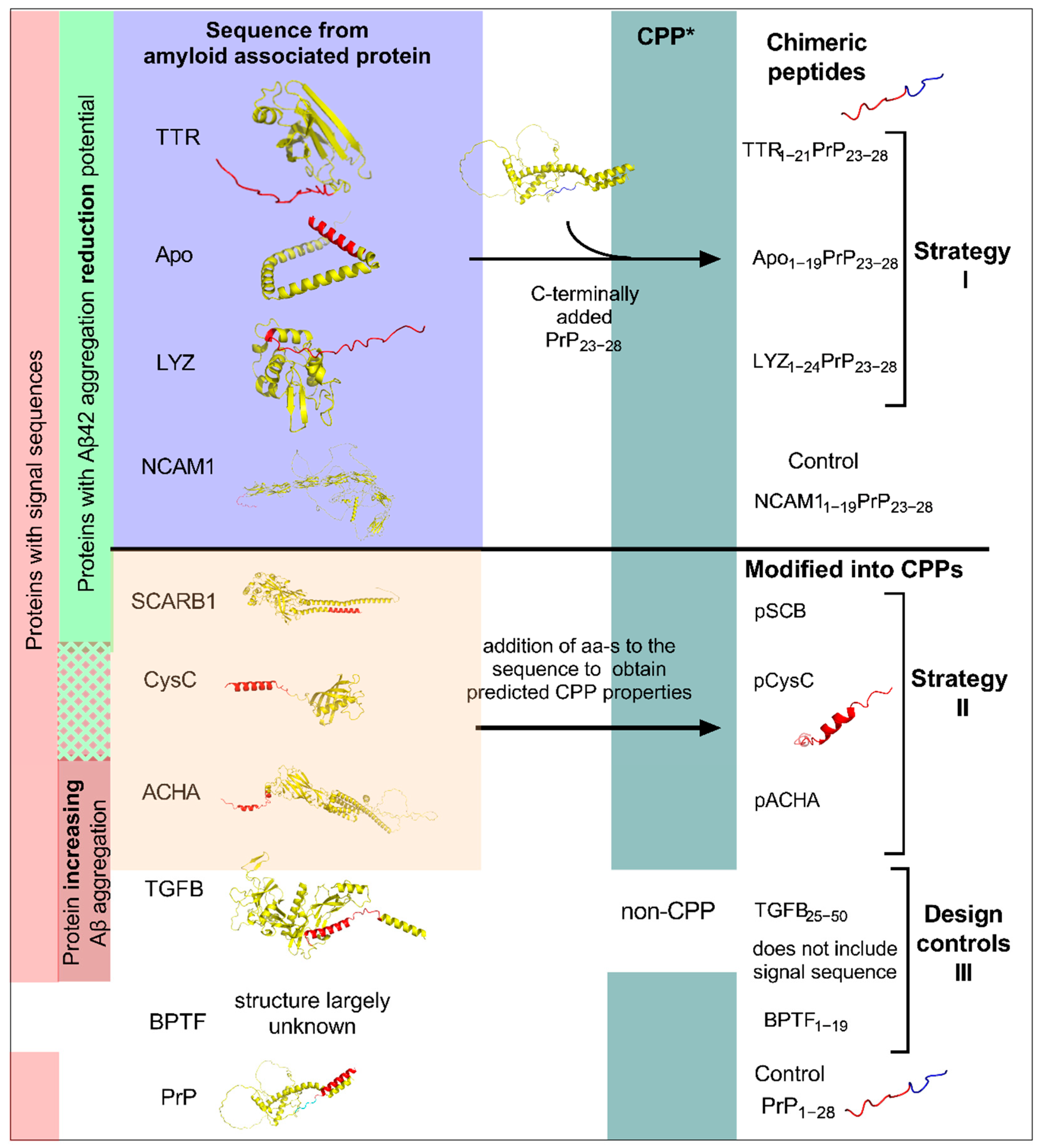 Ijms 24 04277 g001 Ijms 24 04277 g001