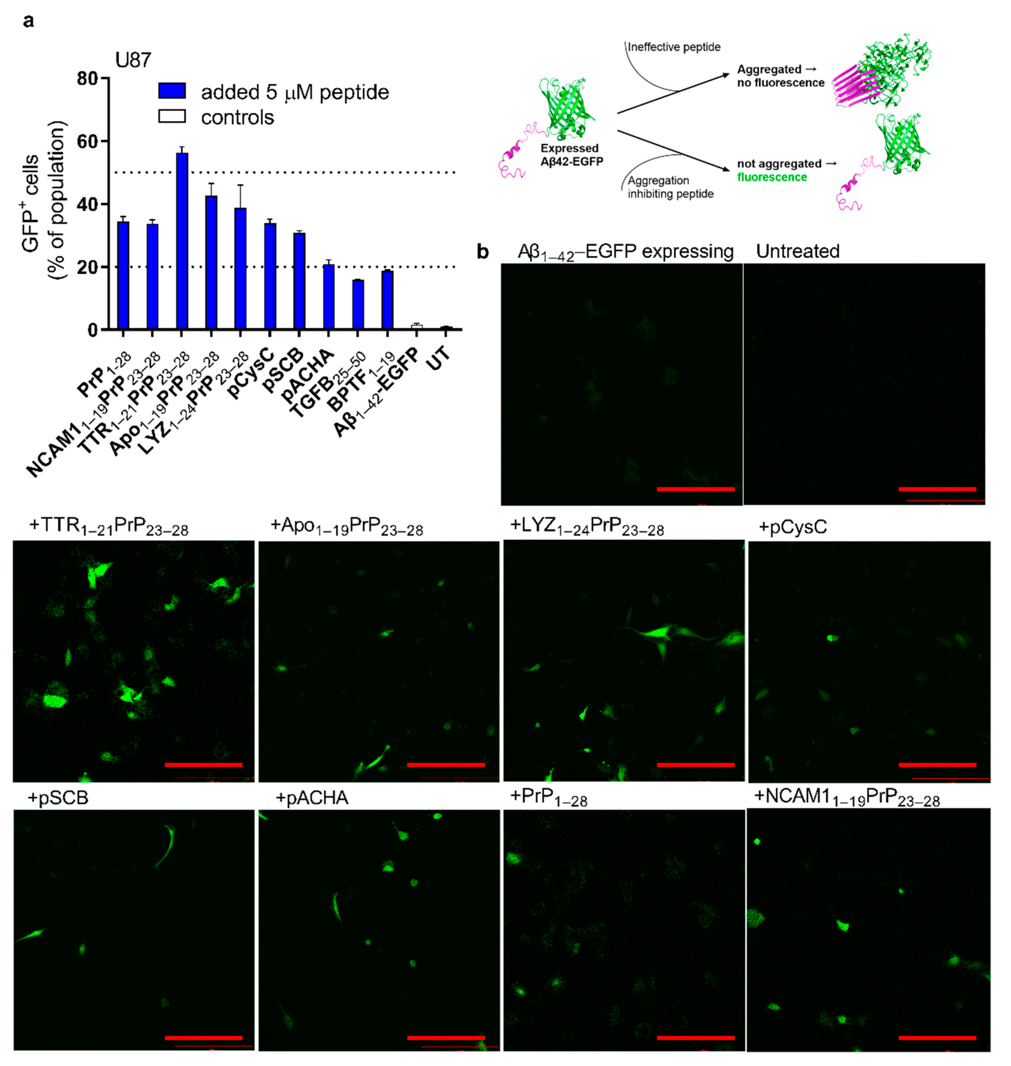 Ijms 24 04277 g003 Ijms 24 04277 g003