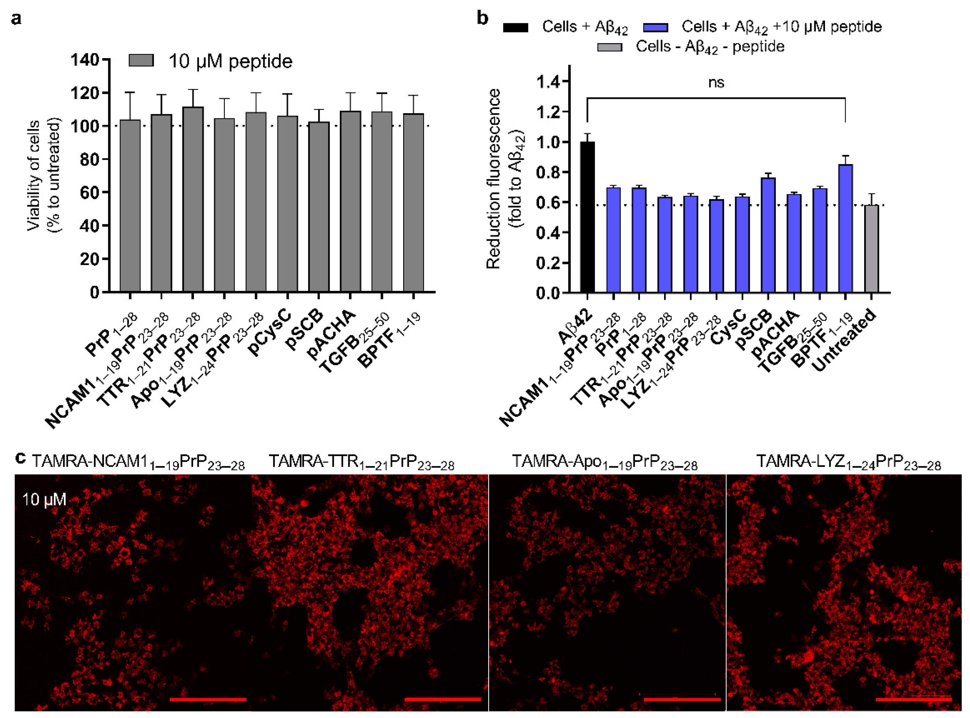 Ijms 24 04277 g004 Ijms 24 04277 g004
