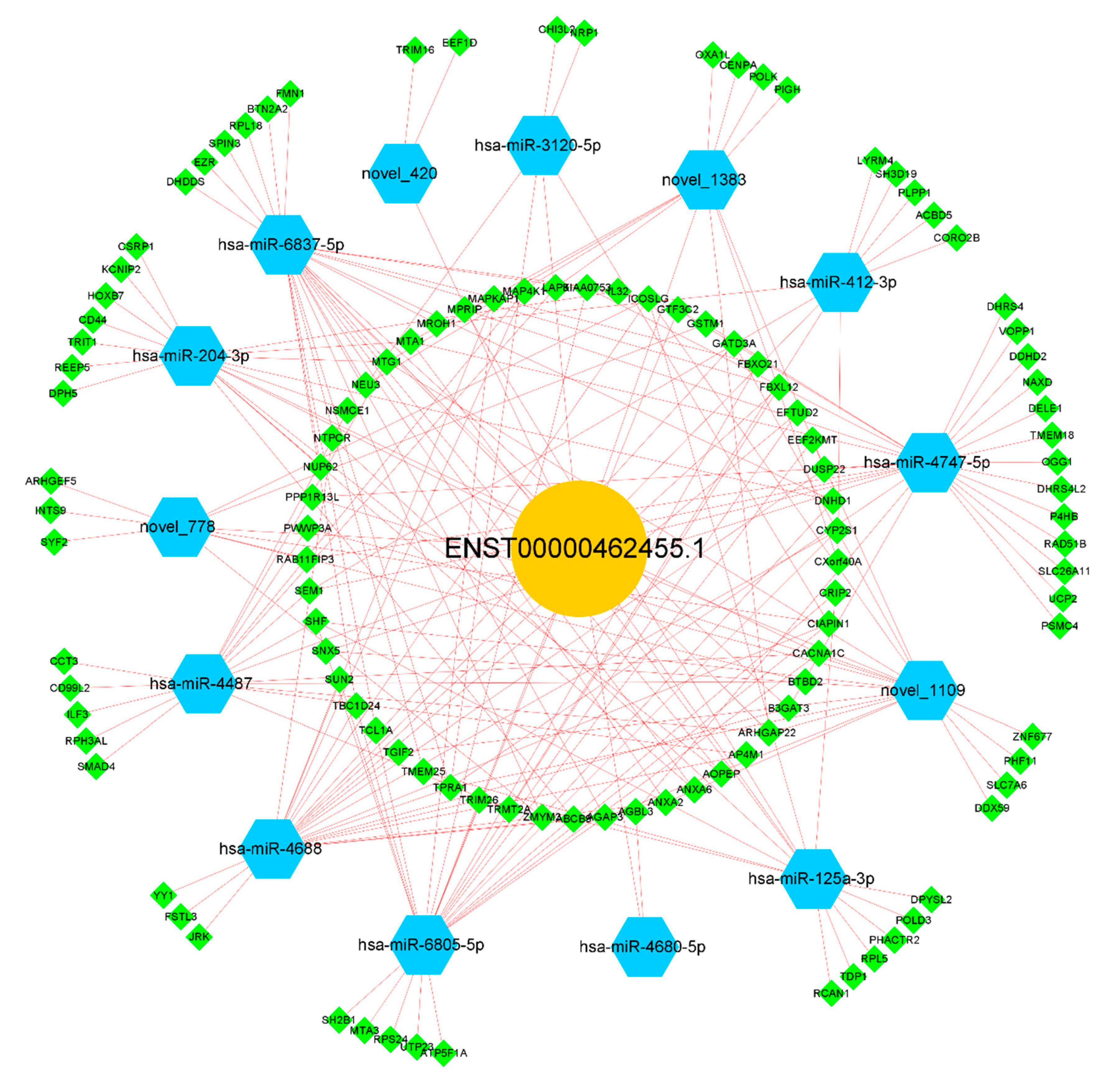 Ijms 24 04279 g005 Ijms 24 04279 g005