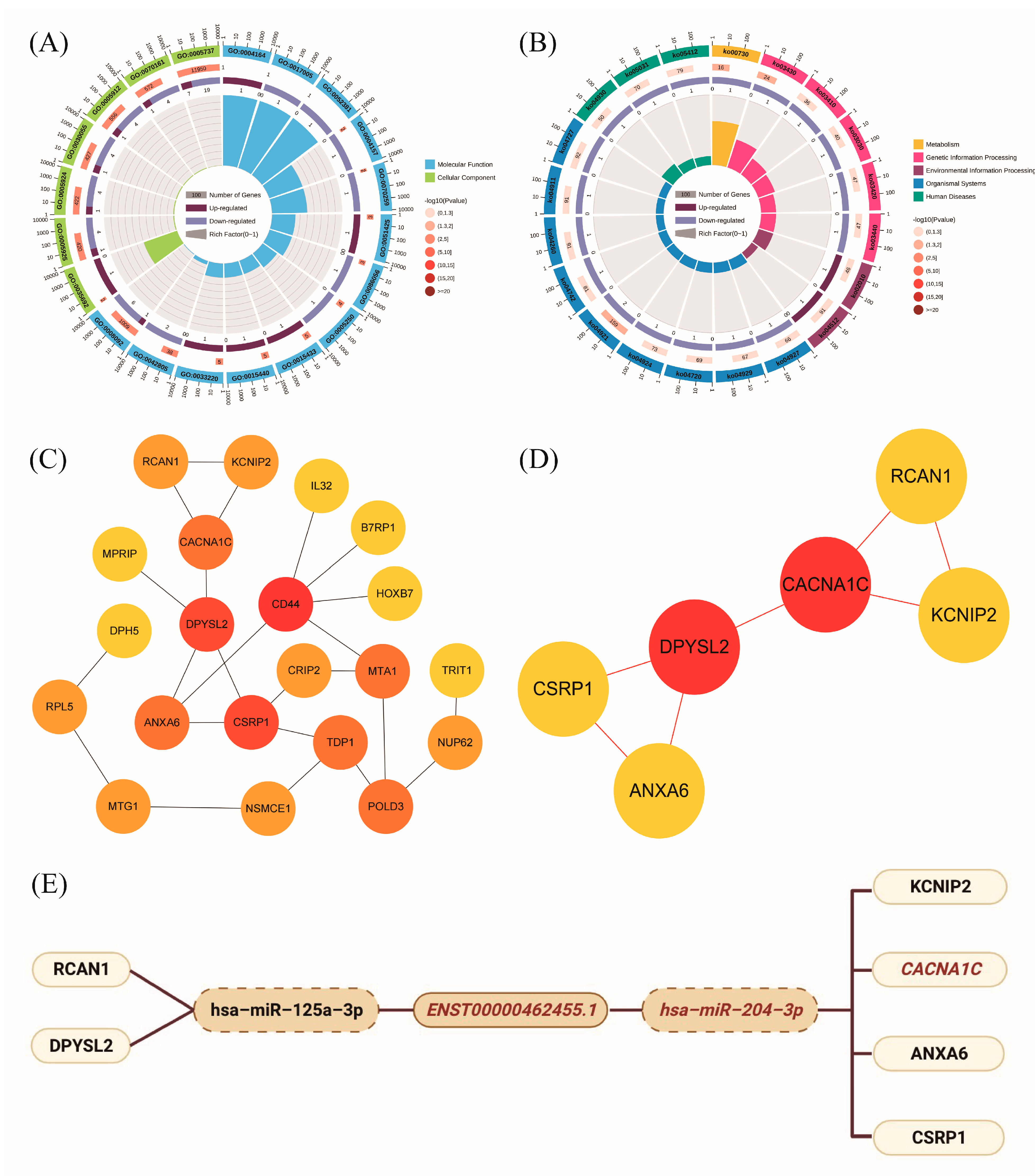 Ijms 24 04279 g006 Ijms 24 04279 g006
