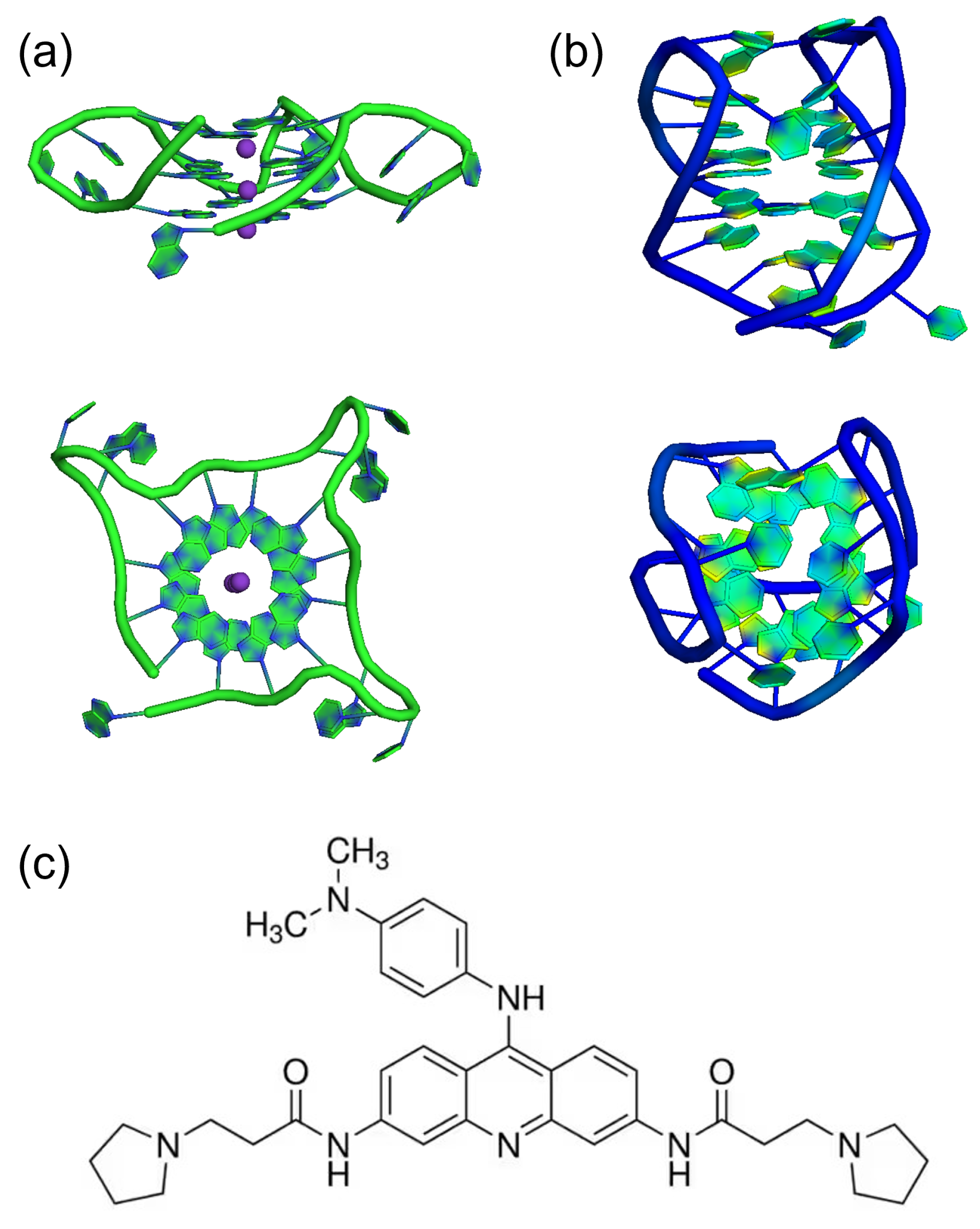 Ijms 24 04280 g001 Ijms 24 04280 g001
