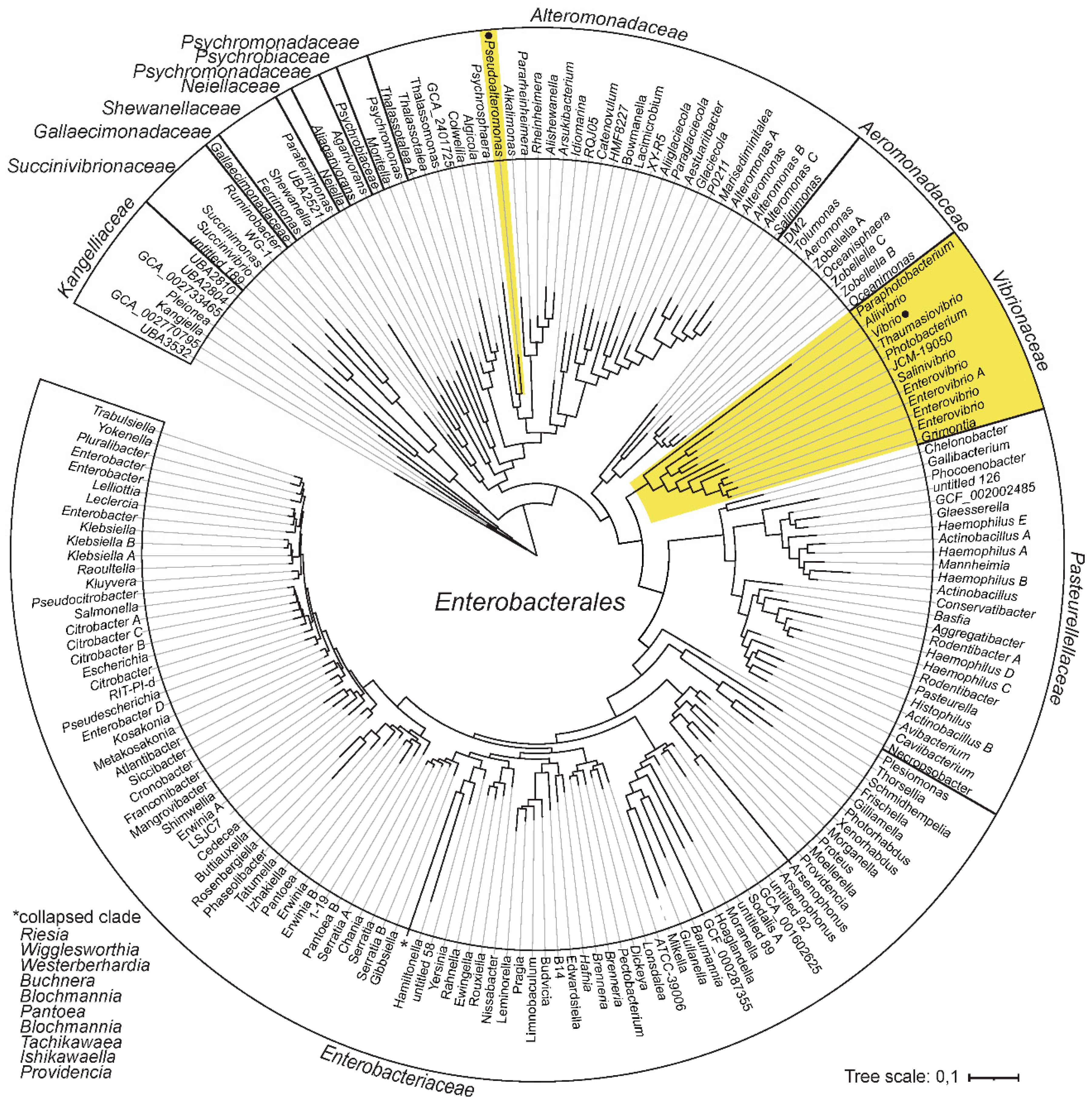 Ijms 24 04292 g001 Ijms 24 04292 g001