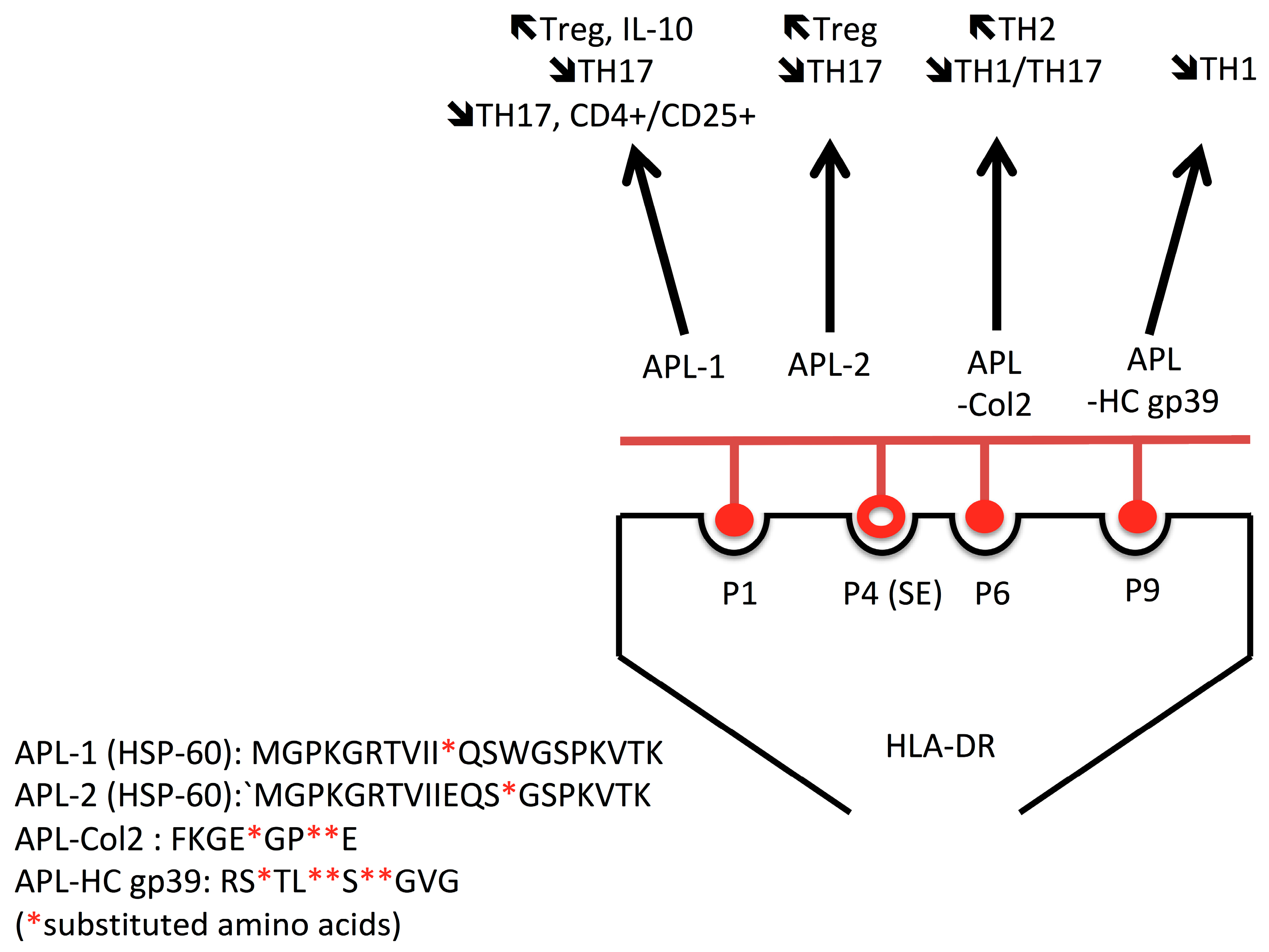 Ijms 24 04296 g003 Ijms 24 04296 g003