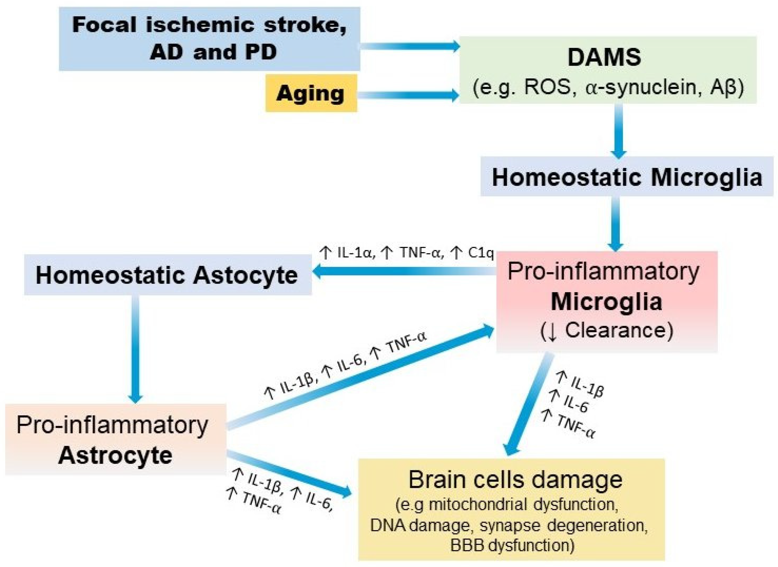 Ijms 24 04297 g002 Ijms 24 04297 g002