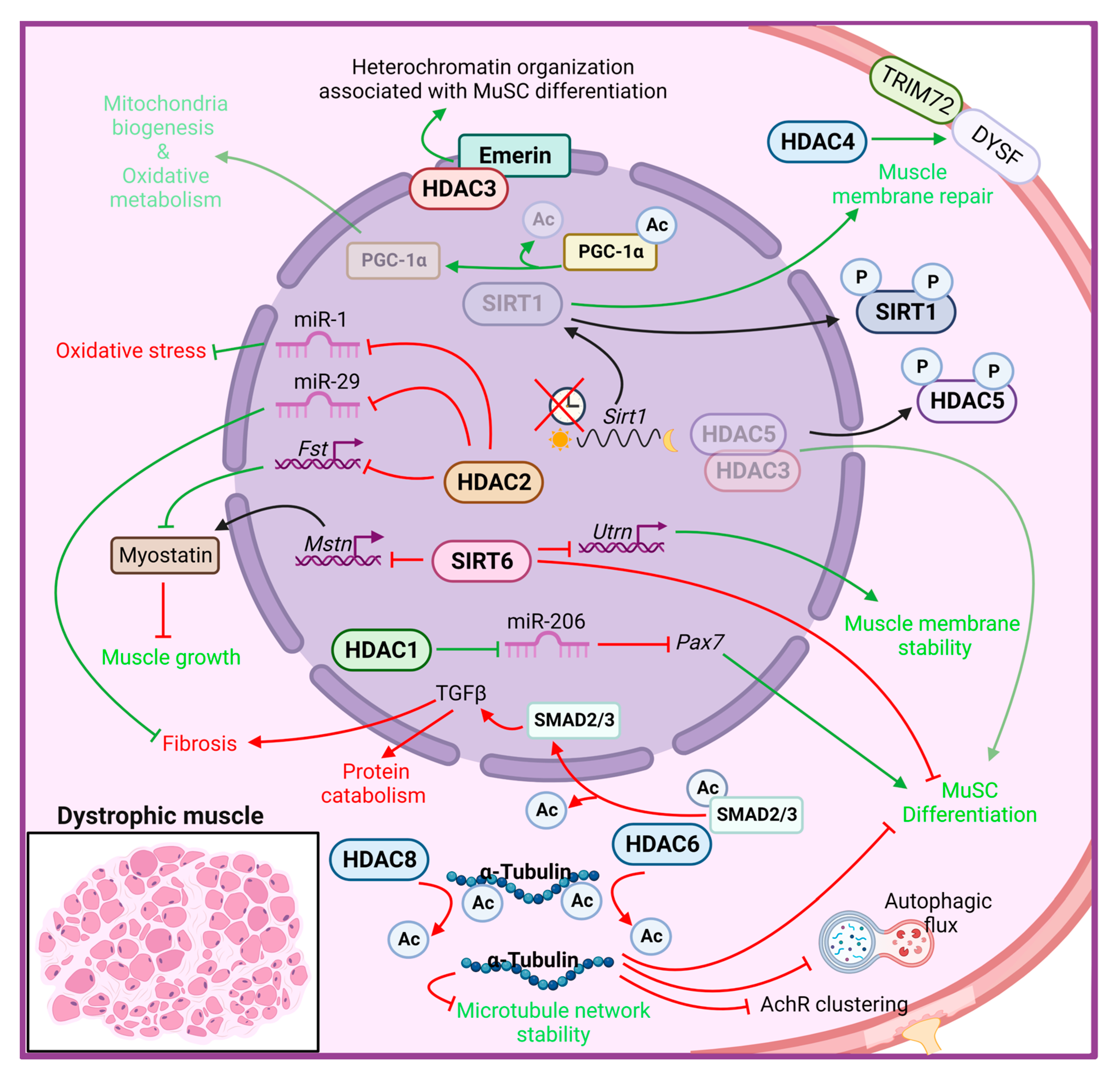 Ijms 24 04306 g001 Ijms 24 04306 g001