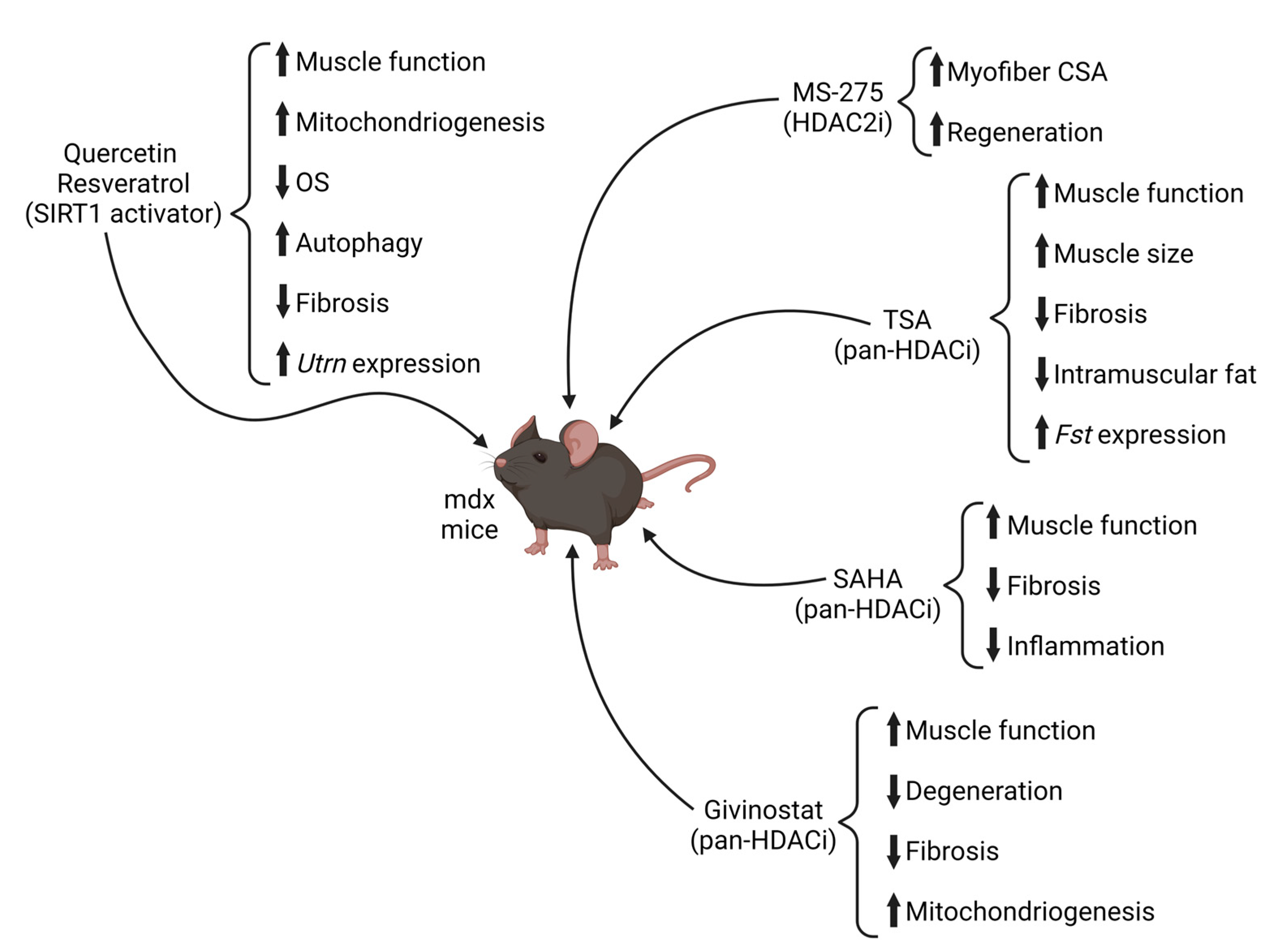 Ijms 24 04306 g003 Ijms 24 04306 g003