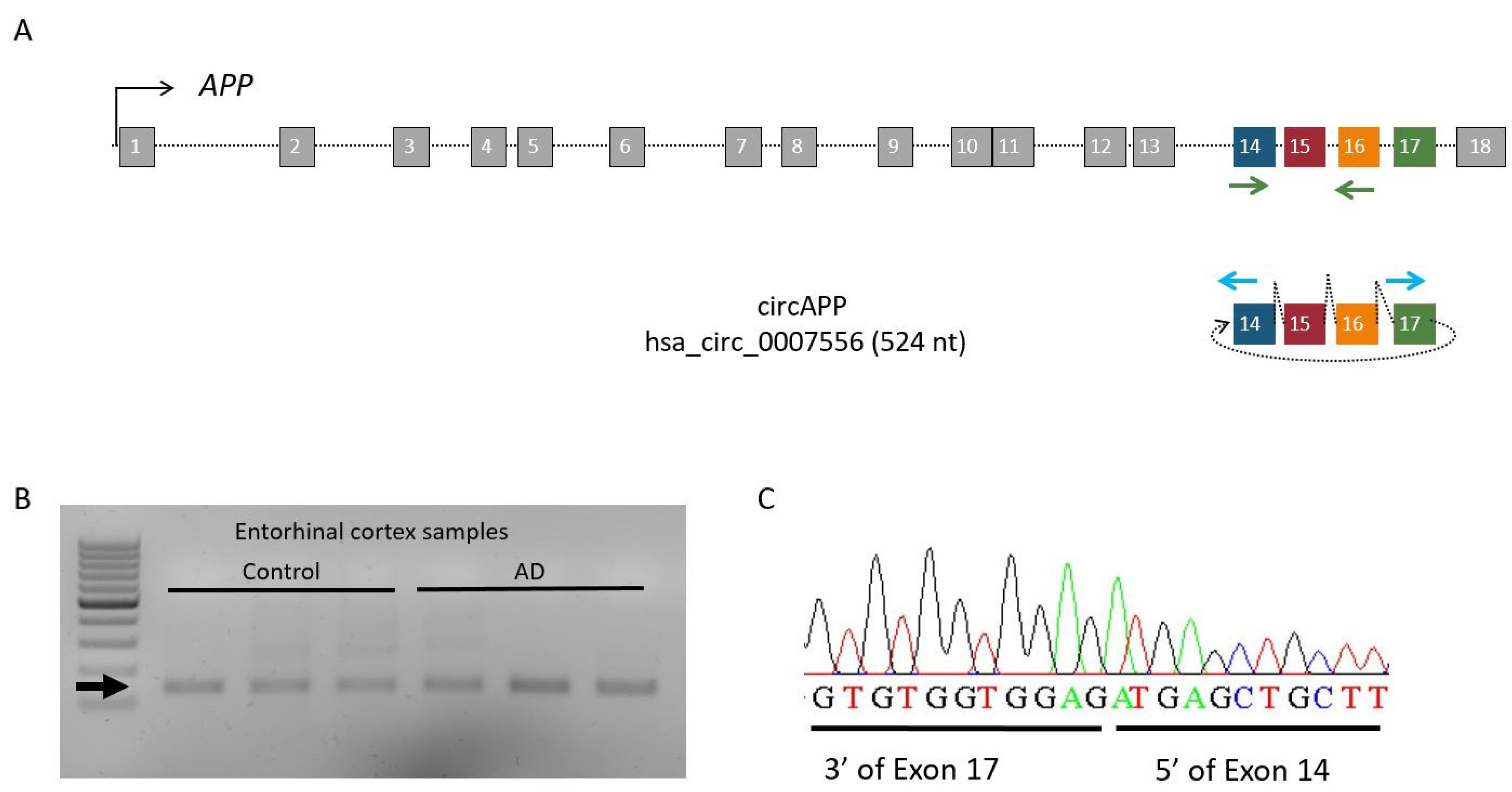 Ijms 24 04308 g001 Ijms 24 04308 g001