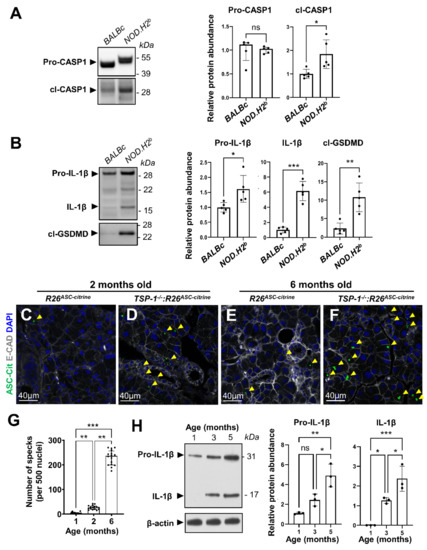 Lacrimal Gland Epithelial Cells Shape Immune Responses Lacrimal Gland Epithelial Cells Shape Immune Responses