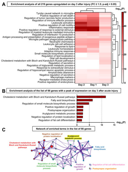 Lacrimal Gland Epithelial Cells Shape Immune Responses through the