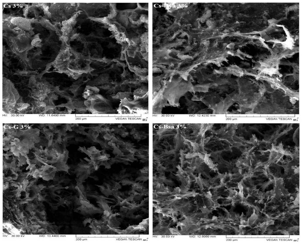 Ijms 24 04312 g008 Ijms 24 04312 g008