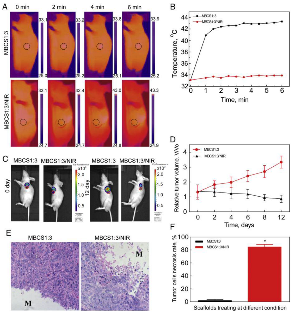 Ijms 24 04312 g013 Ijms 24 04312 g013