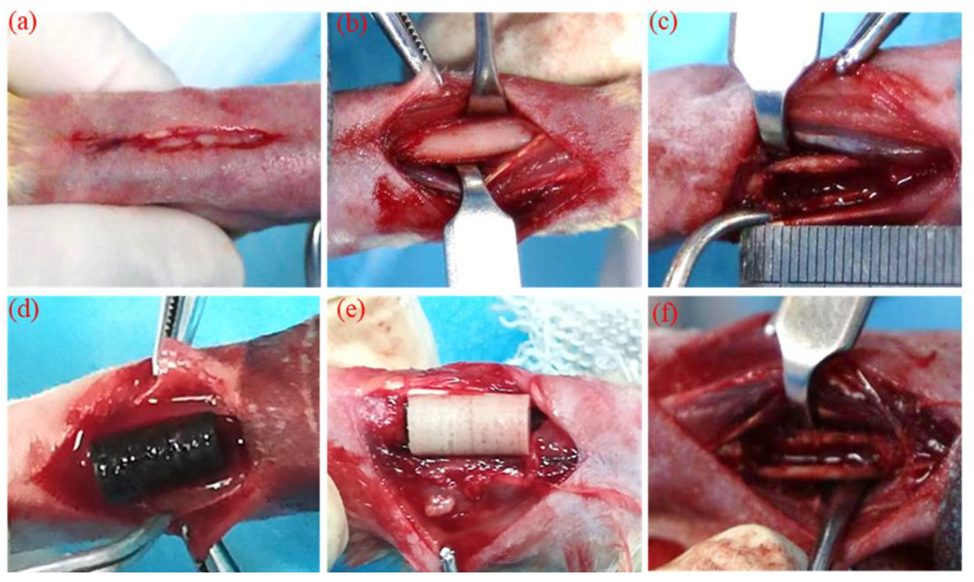 Ijms 24 04312 g014 Ijms 24 04312 g014