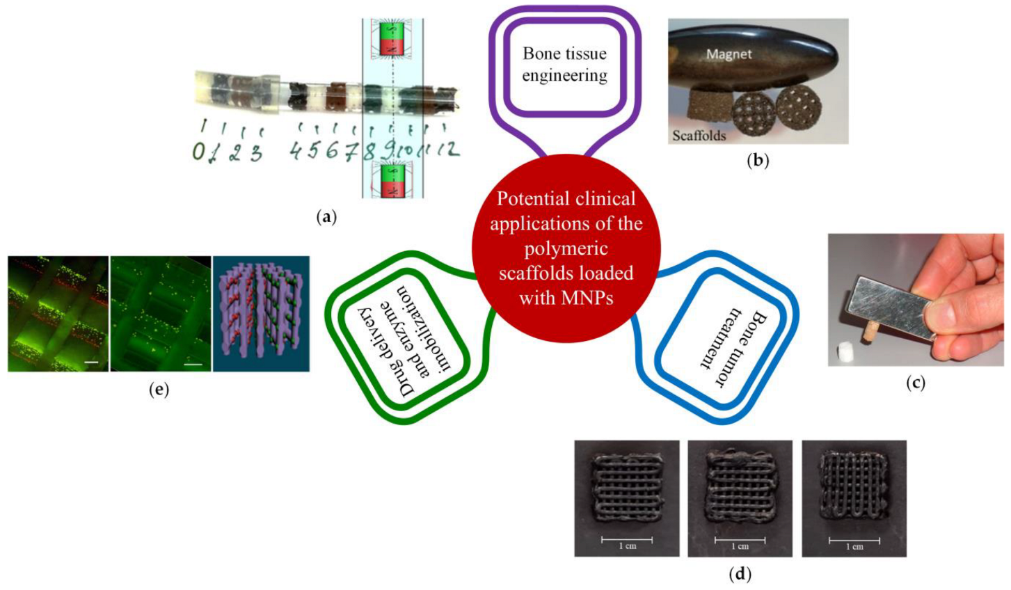 Ijms 24 04312 g015 Ijms 24 04312 g015