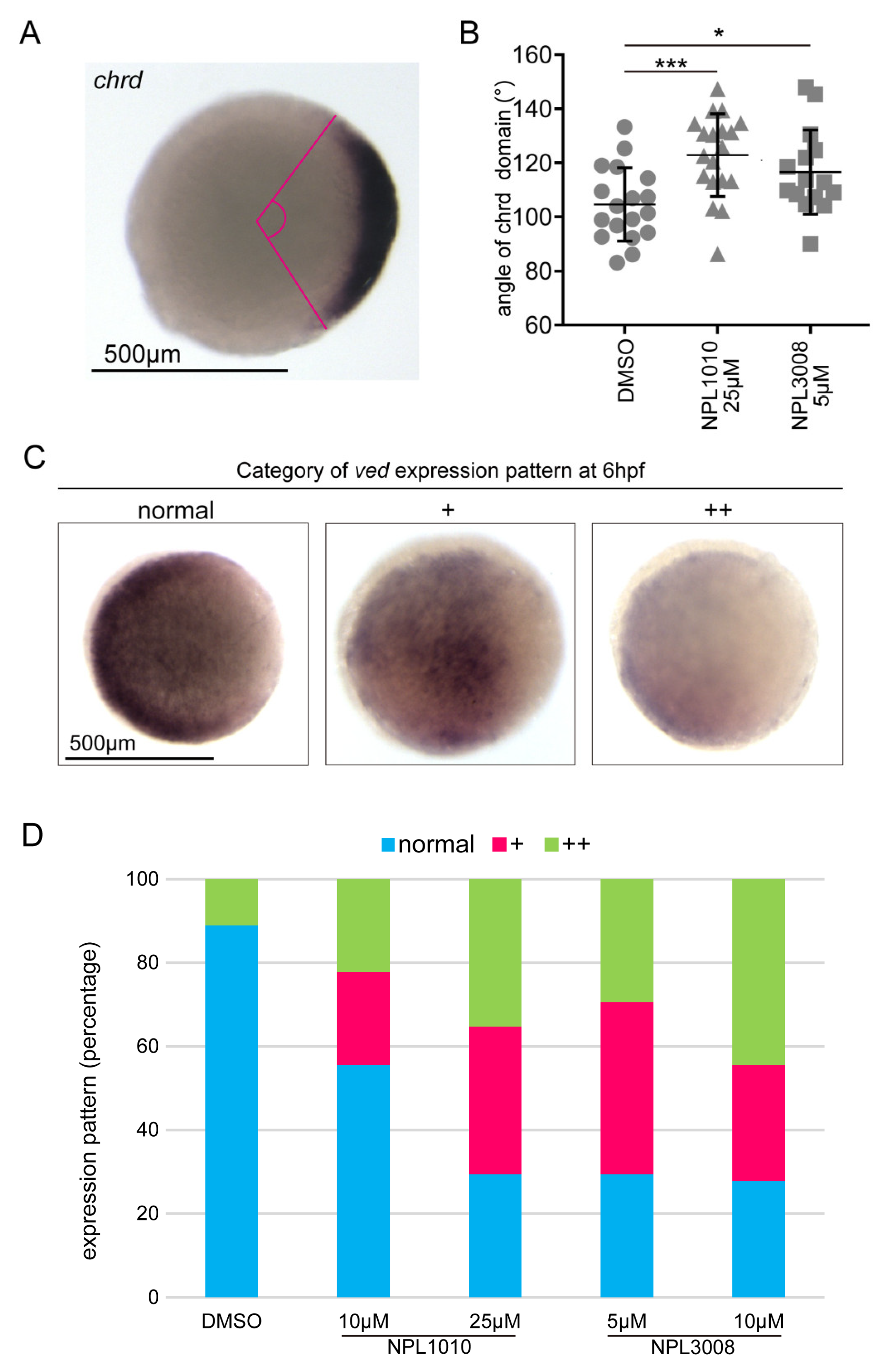 Ijms 24 04313 g002 Ijms 24 04313 g002
