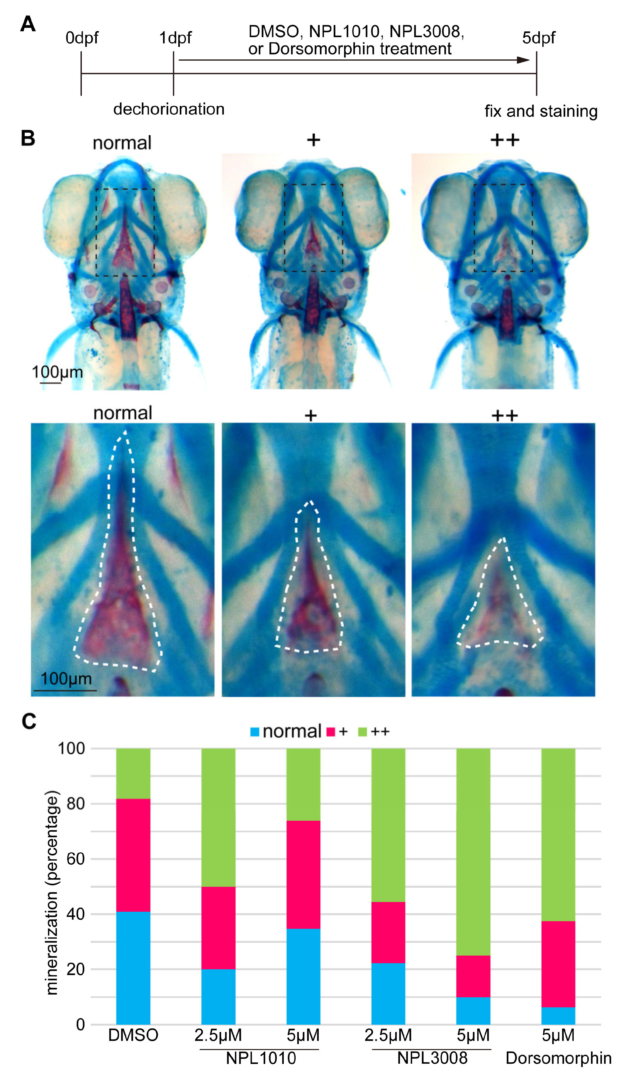 Ijms 24 04313 g003 Ijms 24 04313 g003