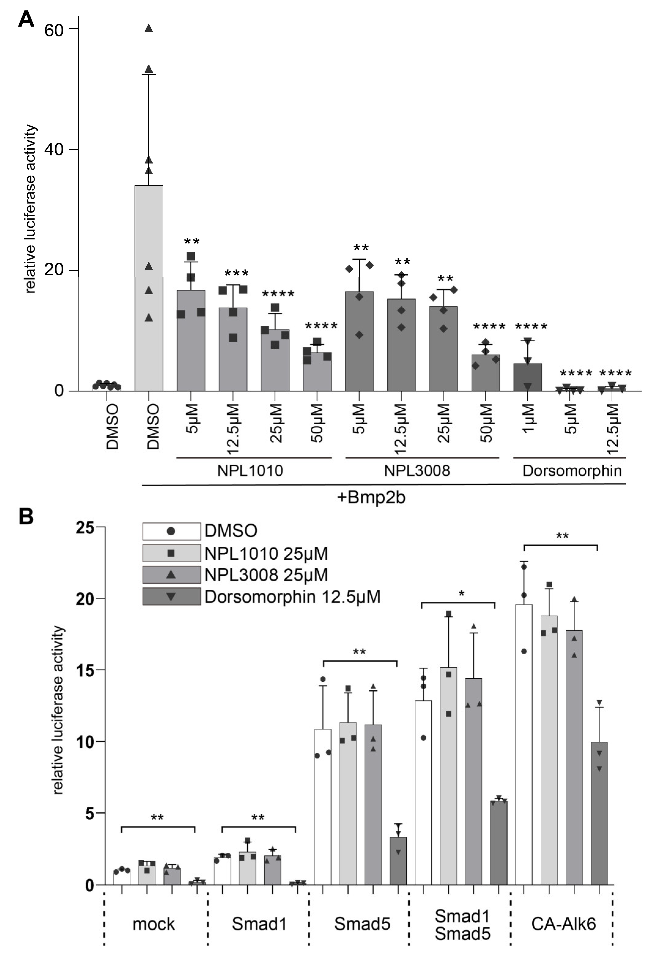 Ijms 24 04313 g004 Ijms 24 04313 g004