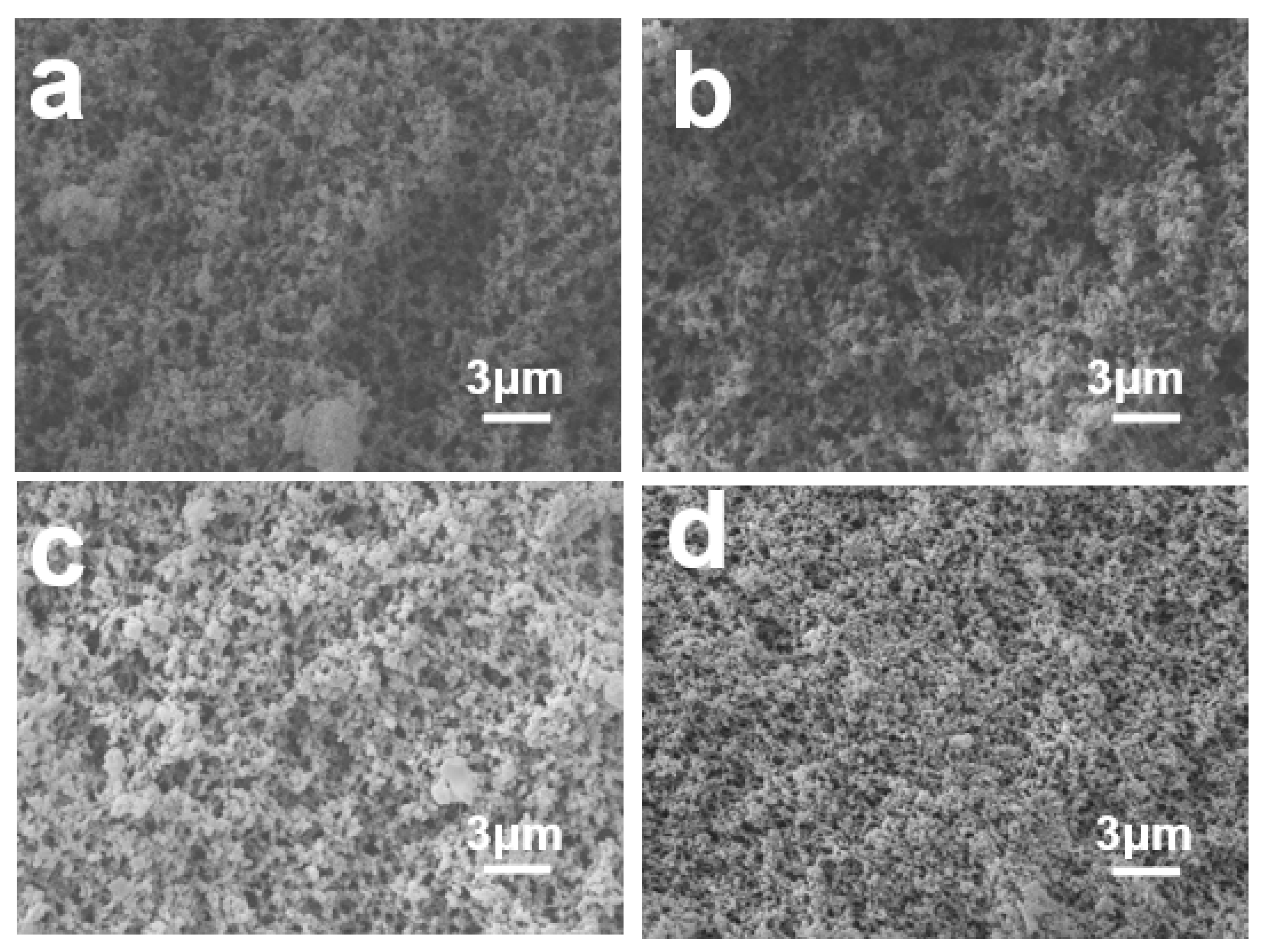 Ijms 24 04314 g003 Ijms 24 04314 g003