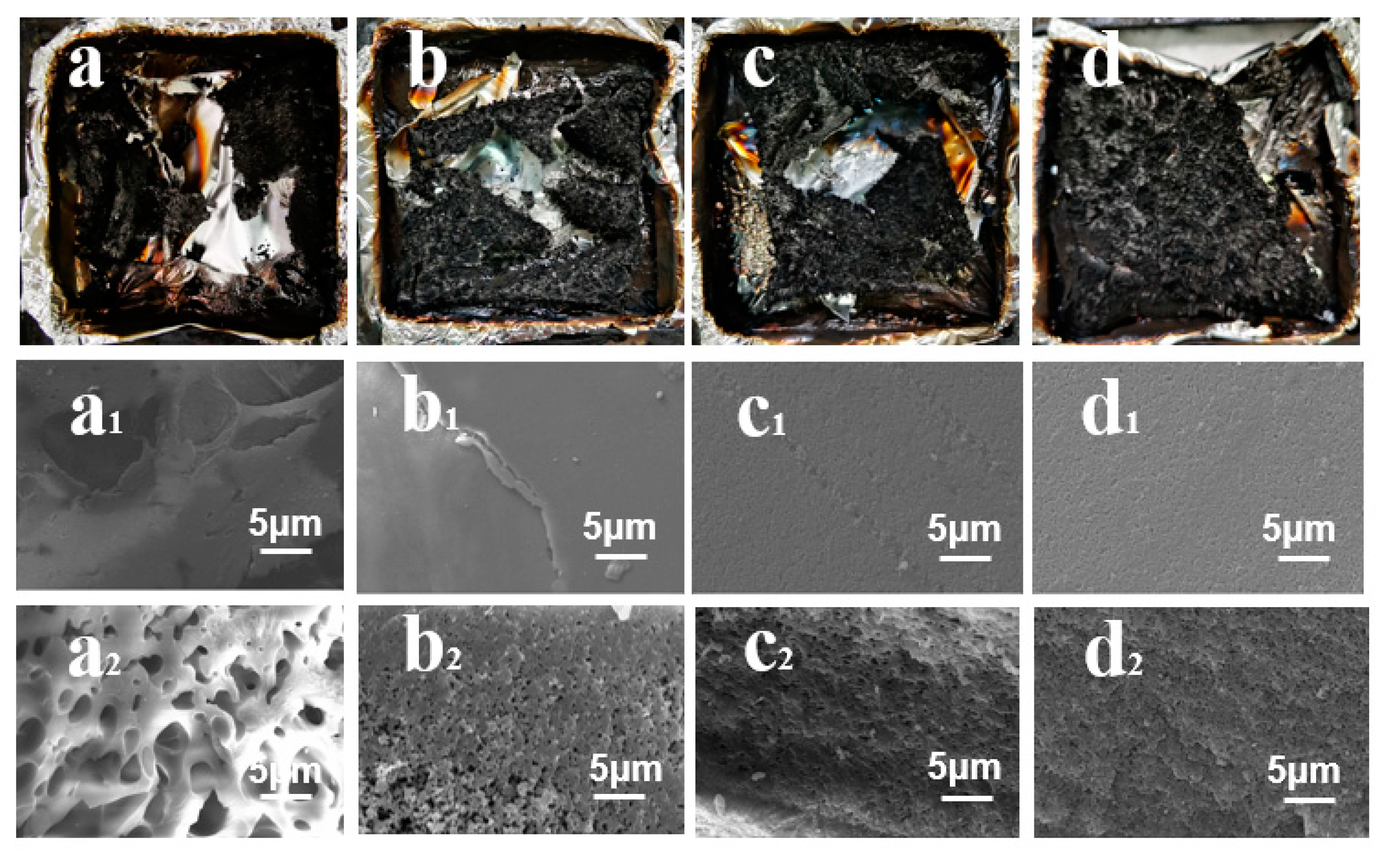 Ijms 24 04314 g009 Ijms 24 04314 g009