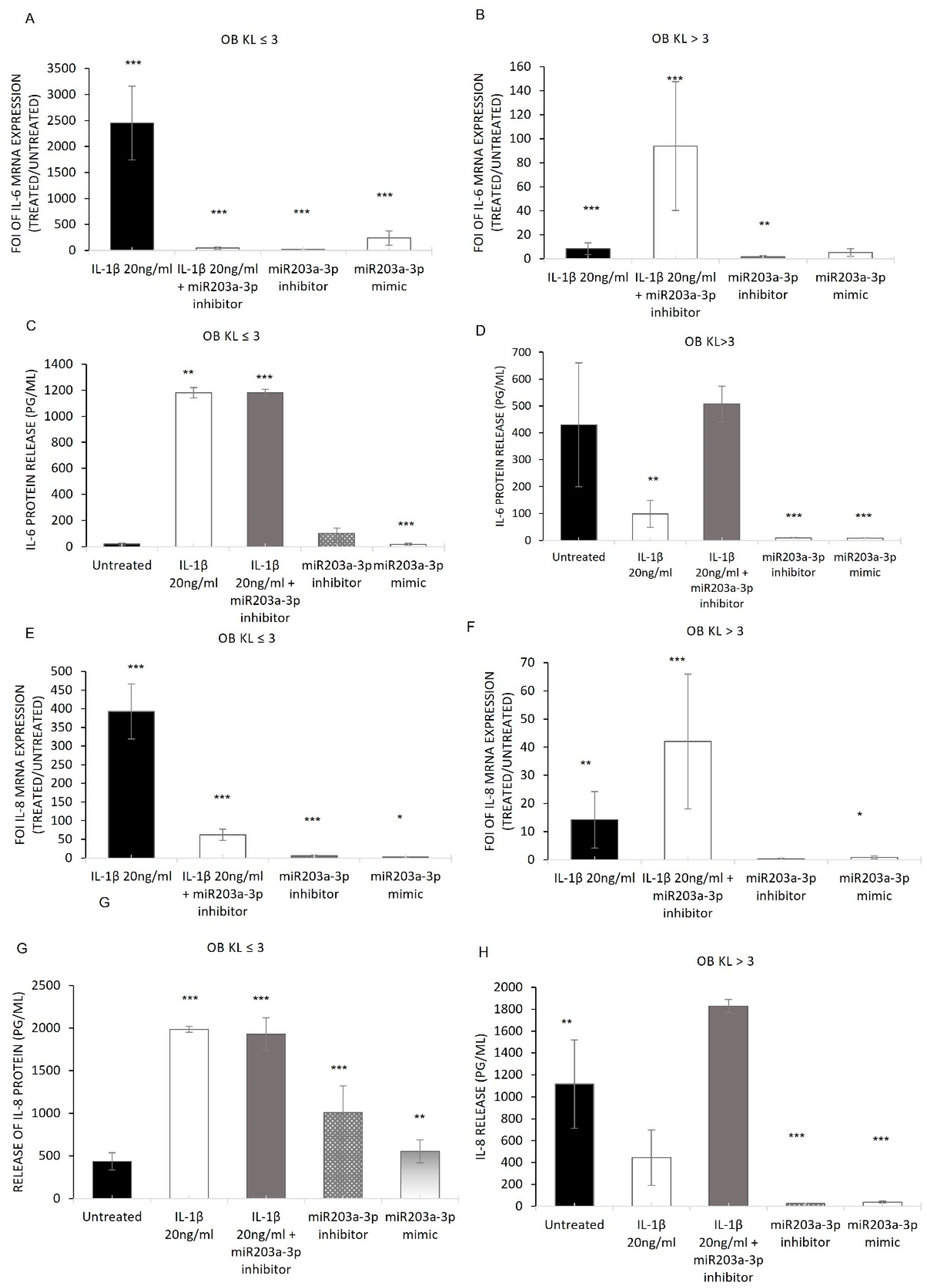 Ijms 24 04316 g004 Ijms 24 04316 g004