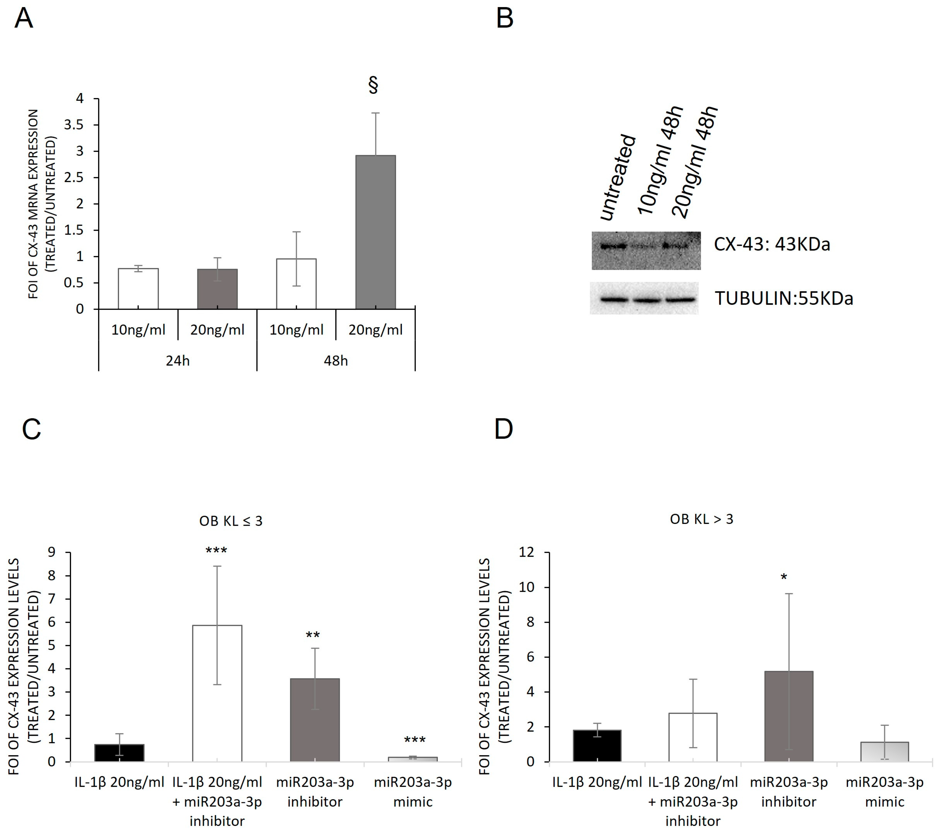 Ijms 24 04316 g006 Ijms 24 04316 g006