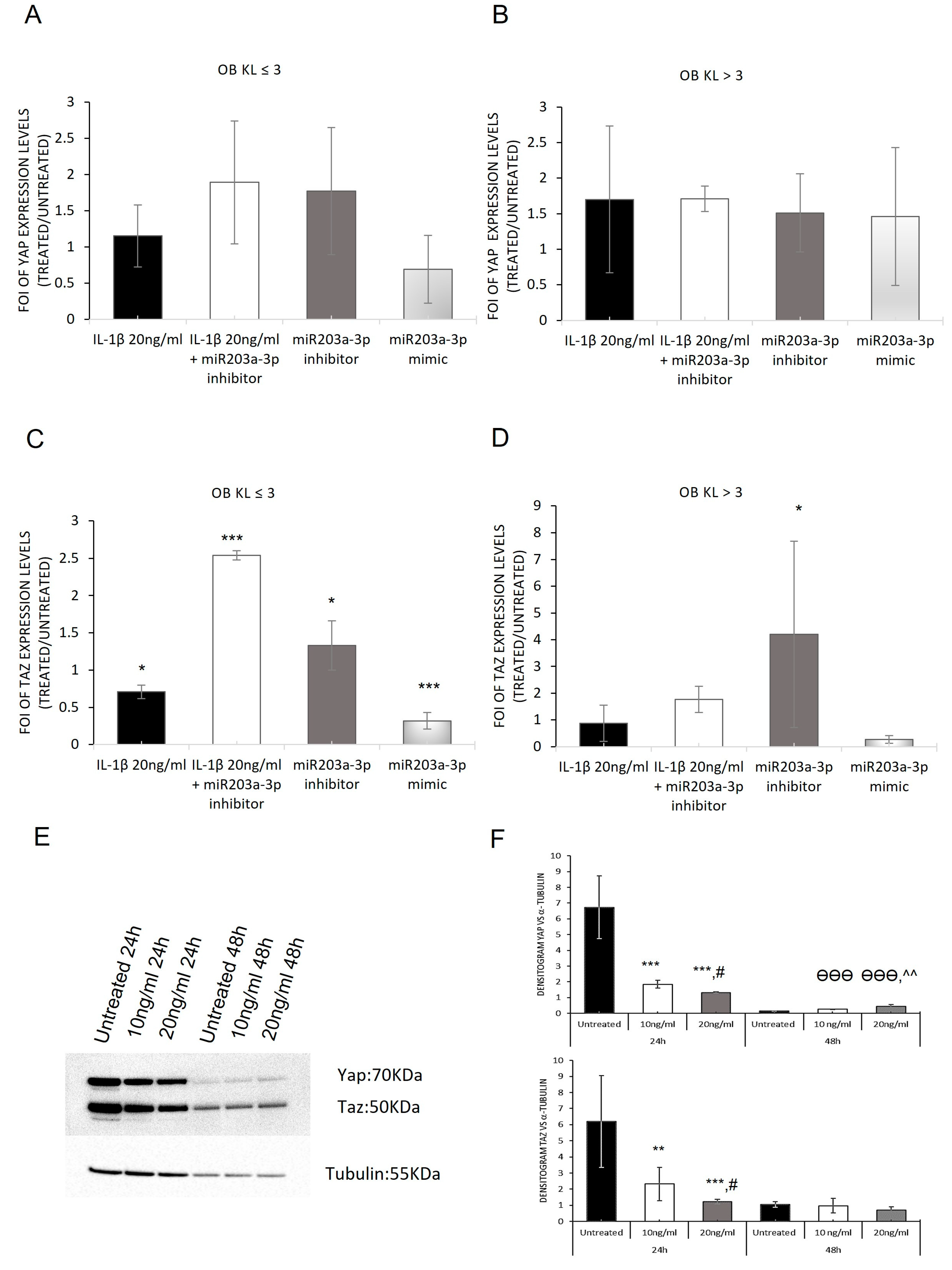 Ijms 24 04316 g008 Ijms 24 04316 g008