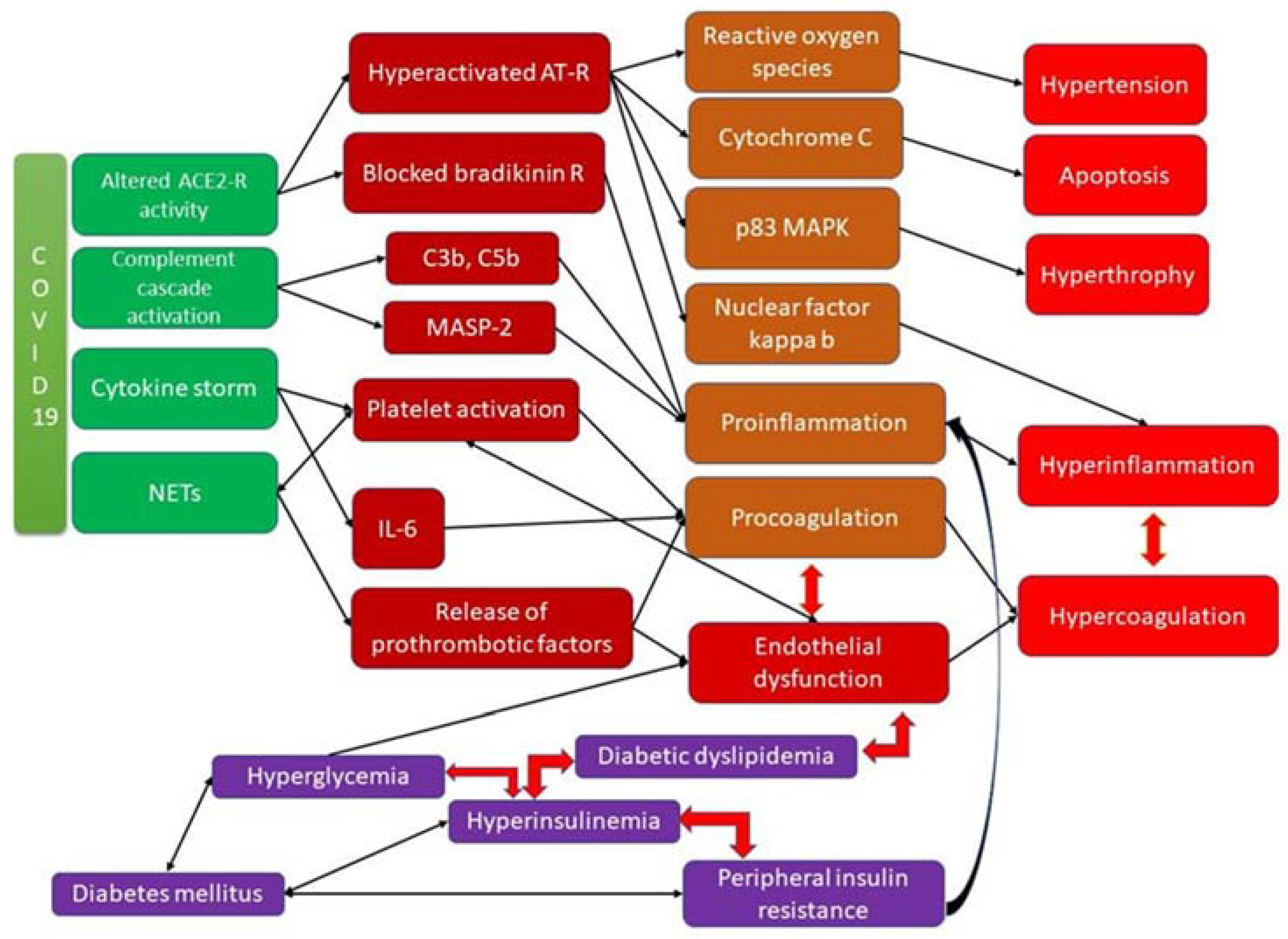 Ijms 24 04319 g001 Ijms 24 04319 g001