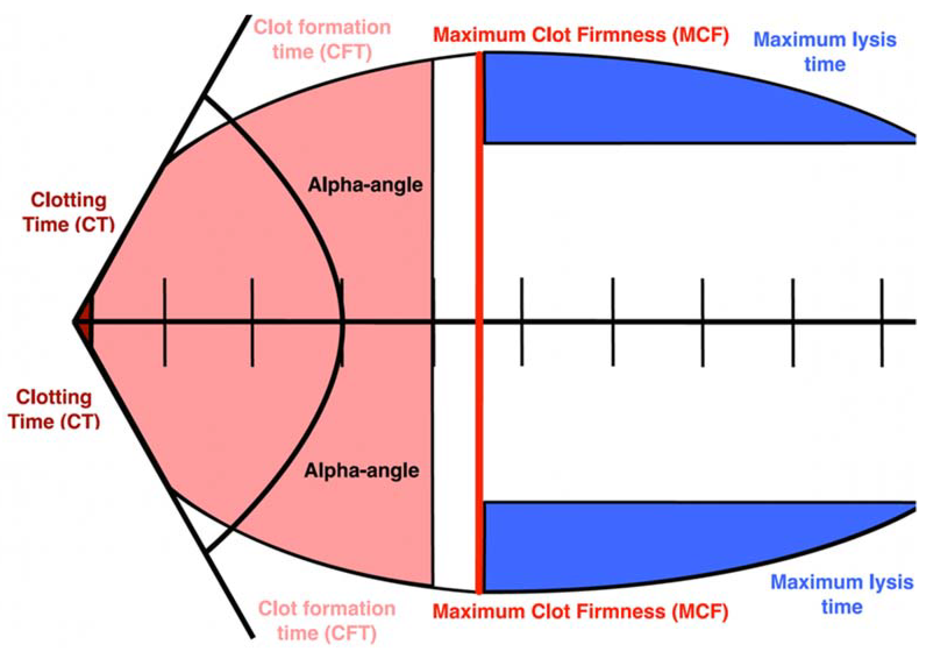 Ijms 24 04319 g002 Ijms 24 04319 g002