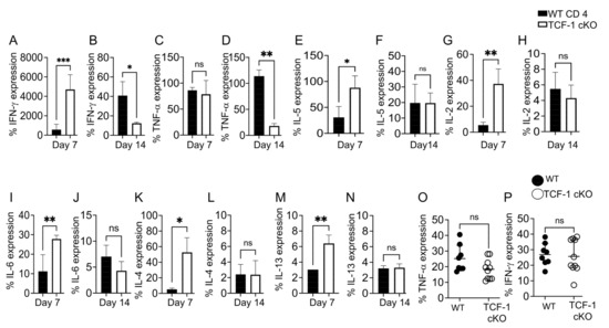 TCF-1 Is Required for CD4 T Cell Persistence Functions during