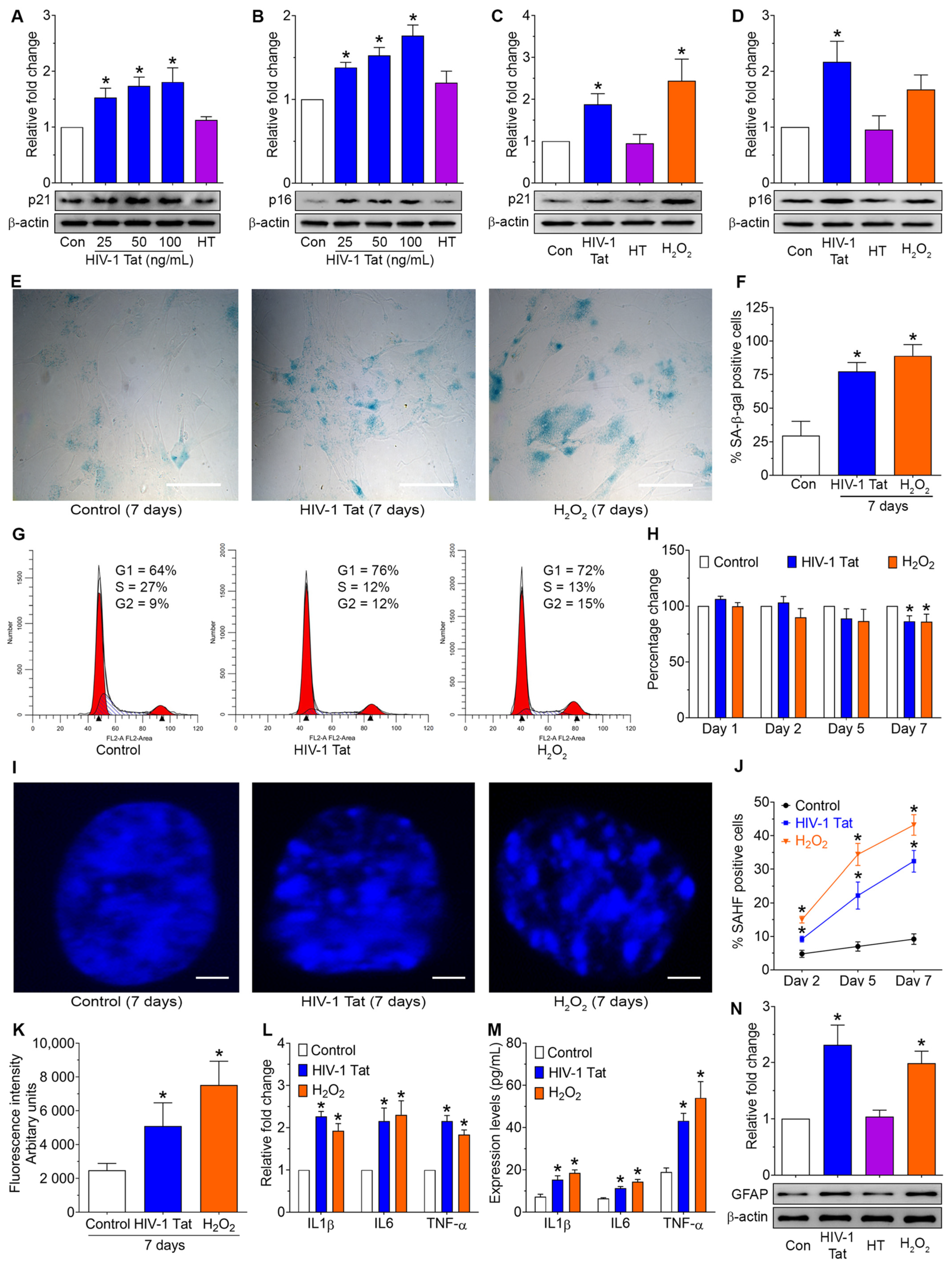 Ijms 24 04330 g001 Ijms 24 04330 g001