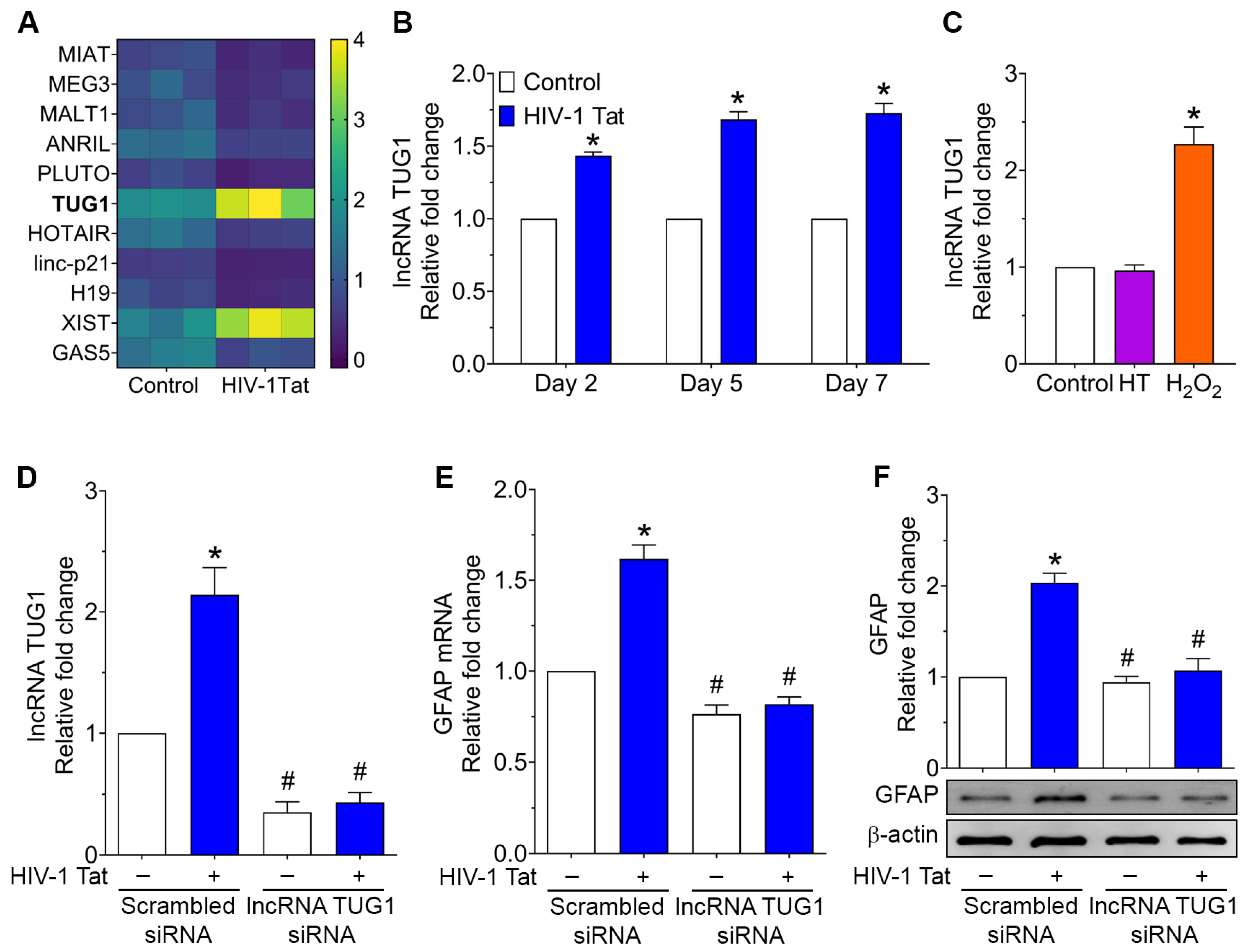 Ijms 24 04330 g002 Ijms 24 04330 g002