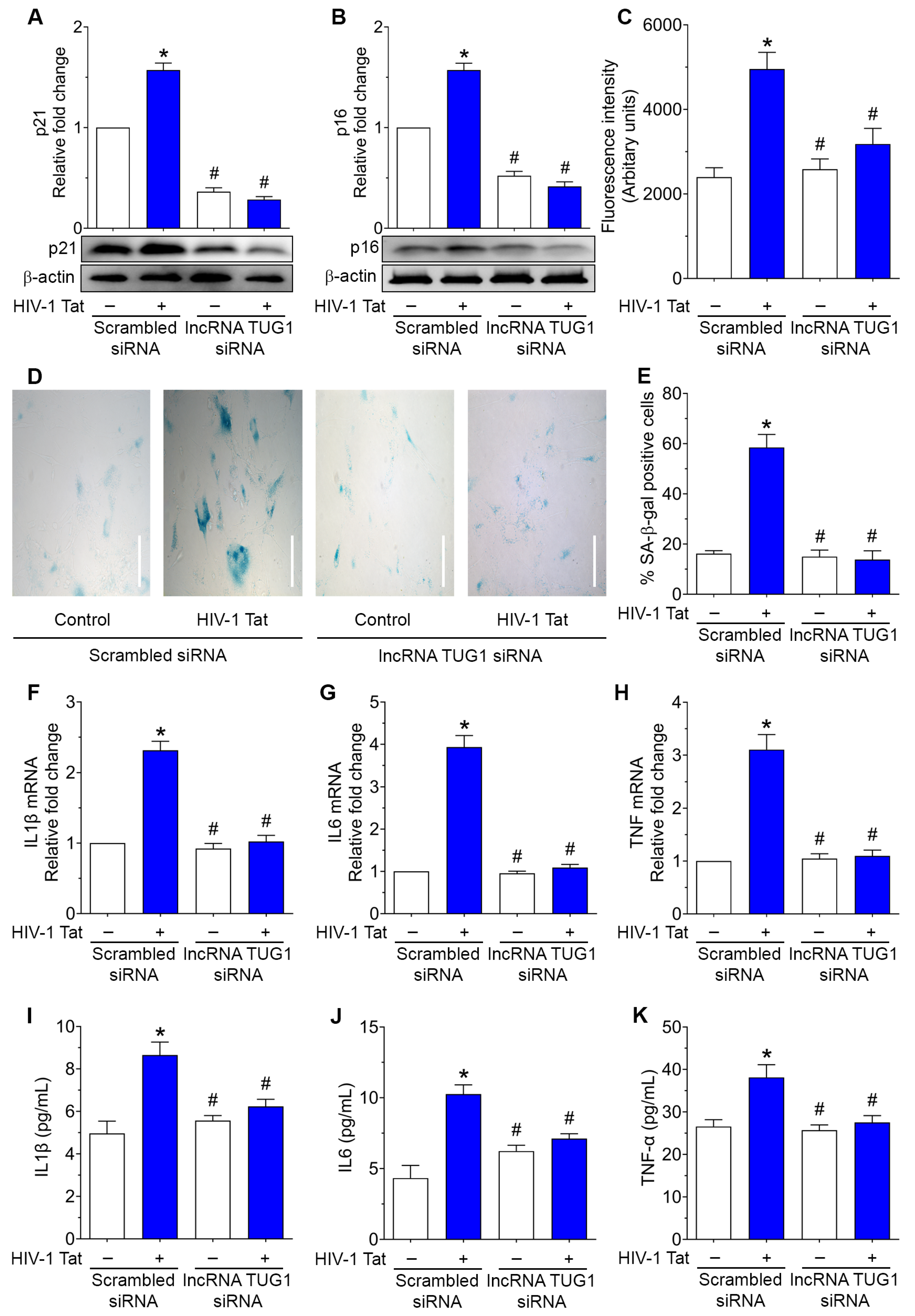 Ijms 24 04330 g003 Ijms 24 04330 g003