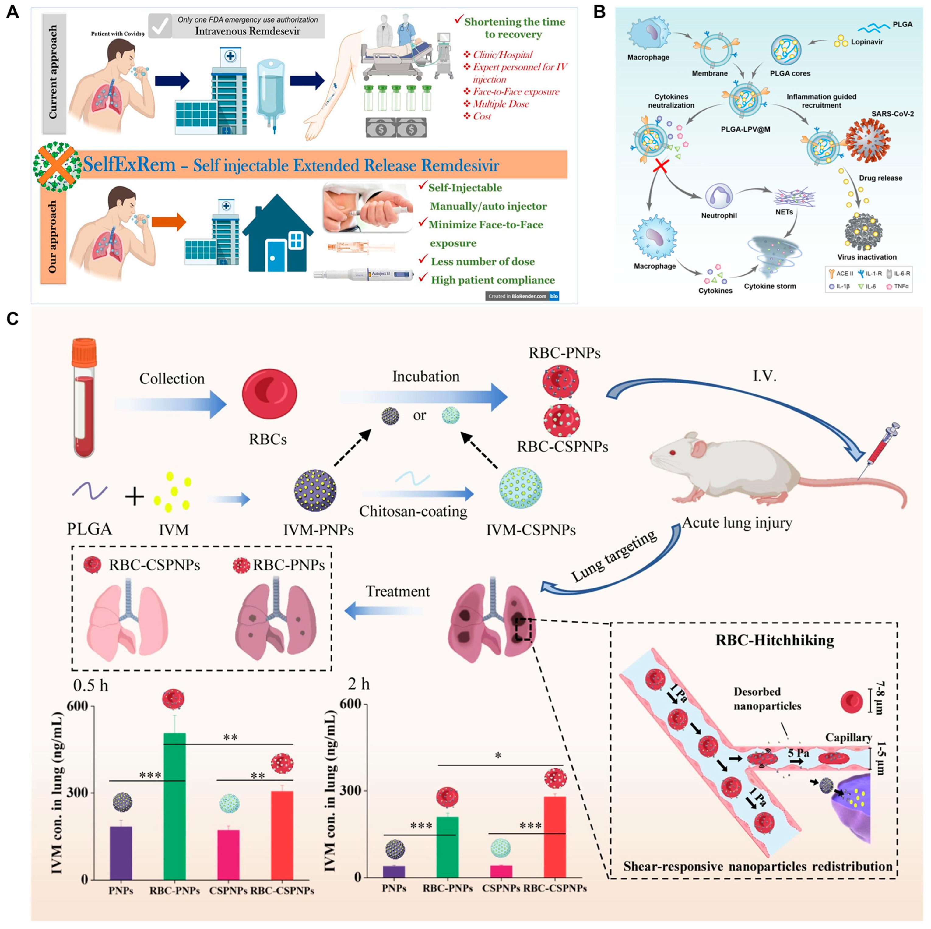 Ijms 24 04333 g006 Ijms 24 04333 g006
