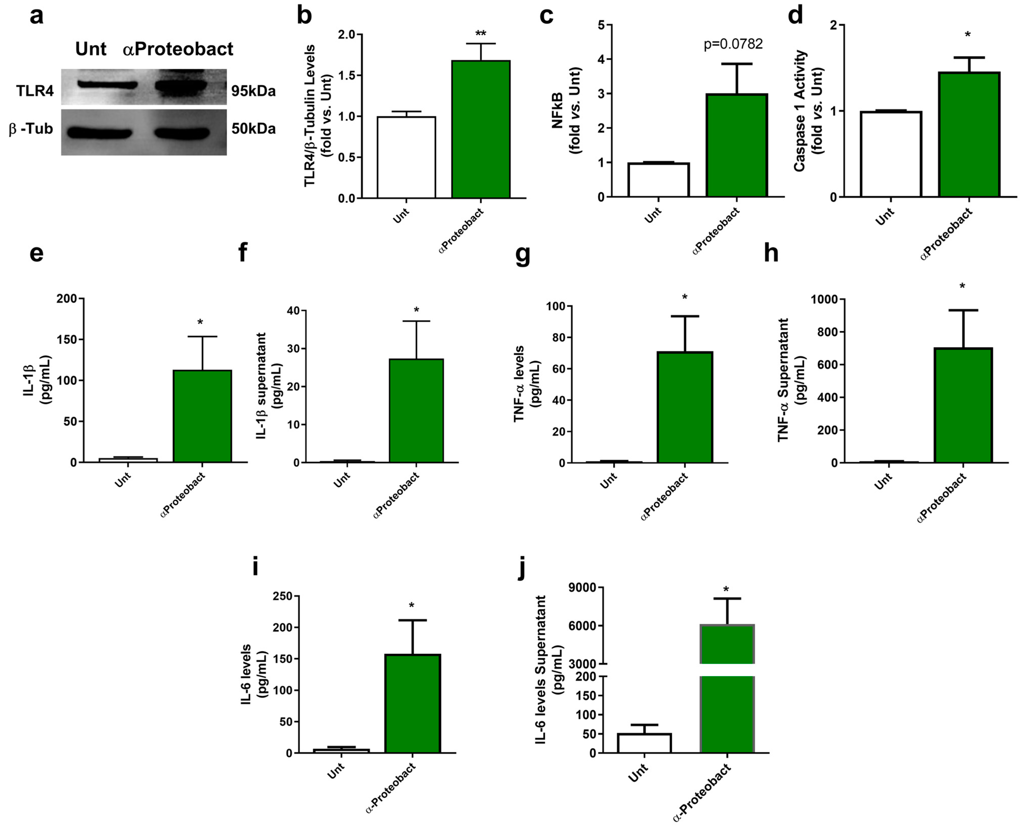 Ijms 24 04339 g001 Ijms 24 04339 g001