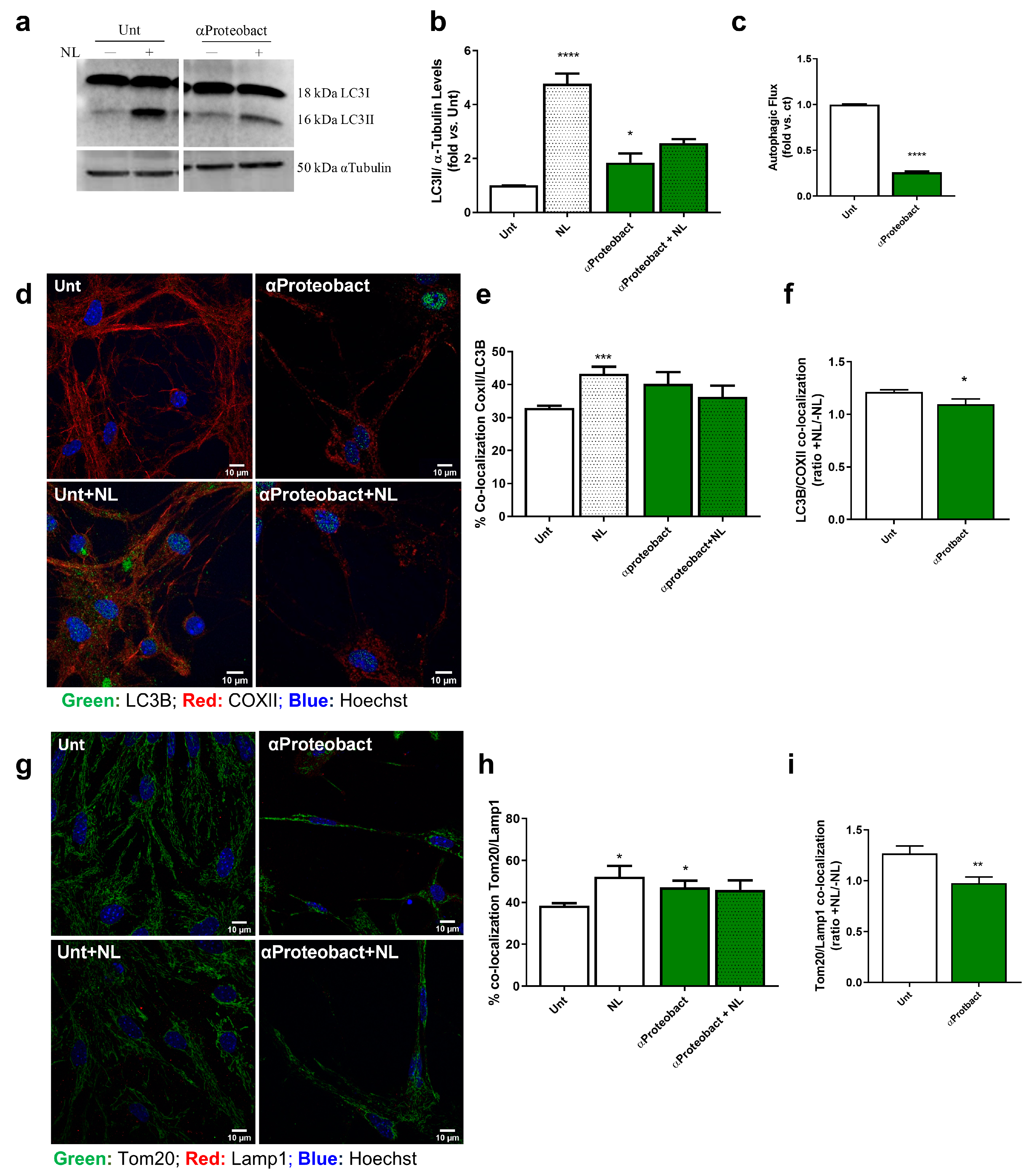 Ijms 24 04339 g004 Ijms 24 04339 g004