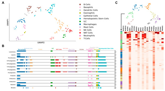 Cell-Type-Specific Gene Regulatory Networks of Pro-Inflammatory and Pro ...