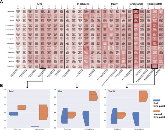 Cell-Type-Specific Gene Regulatory Networks of Pro-Inflammatory and Pro ...