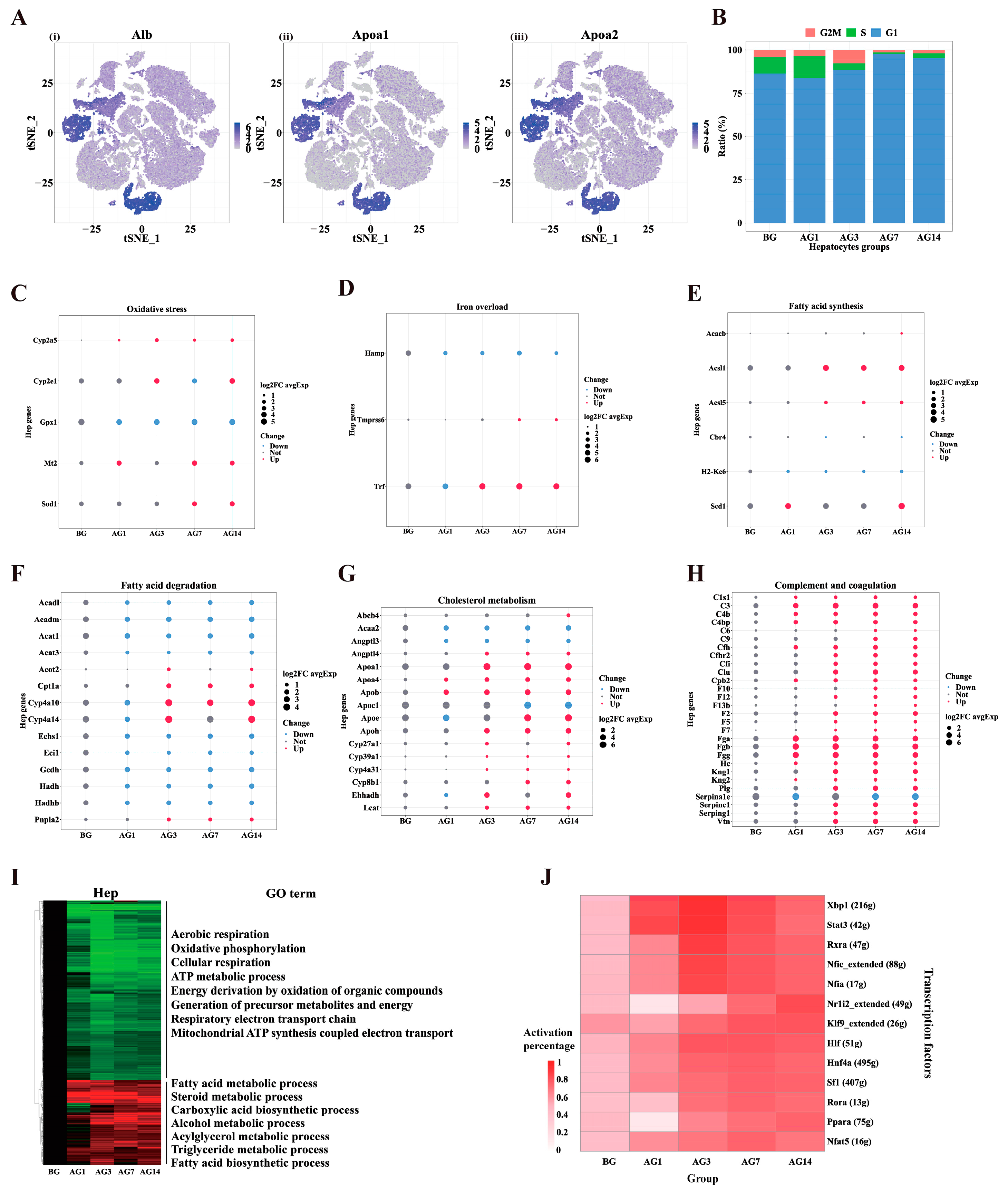 Ijms 24 04344 g004 Ijms 24 04344 g004